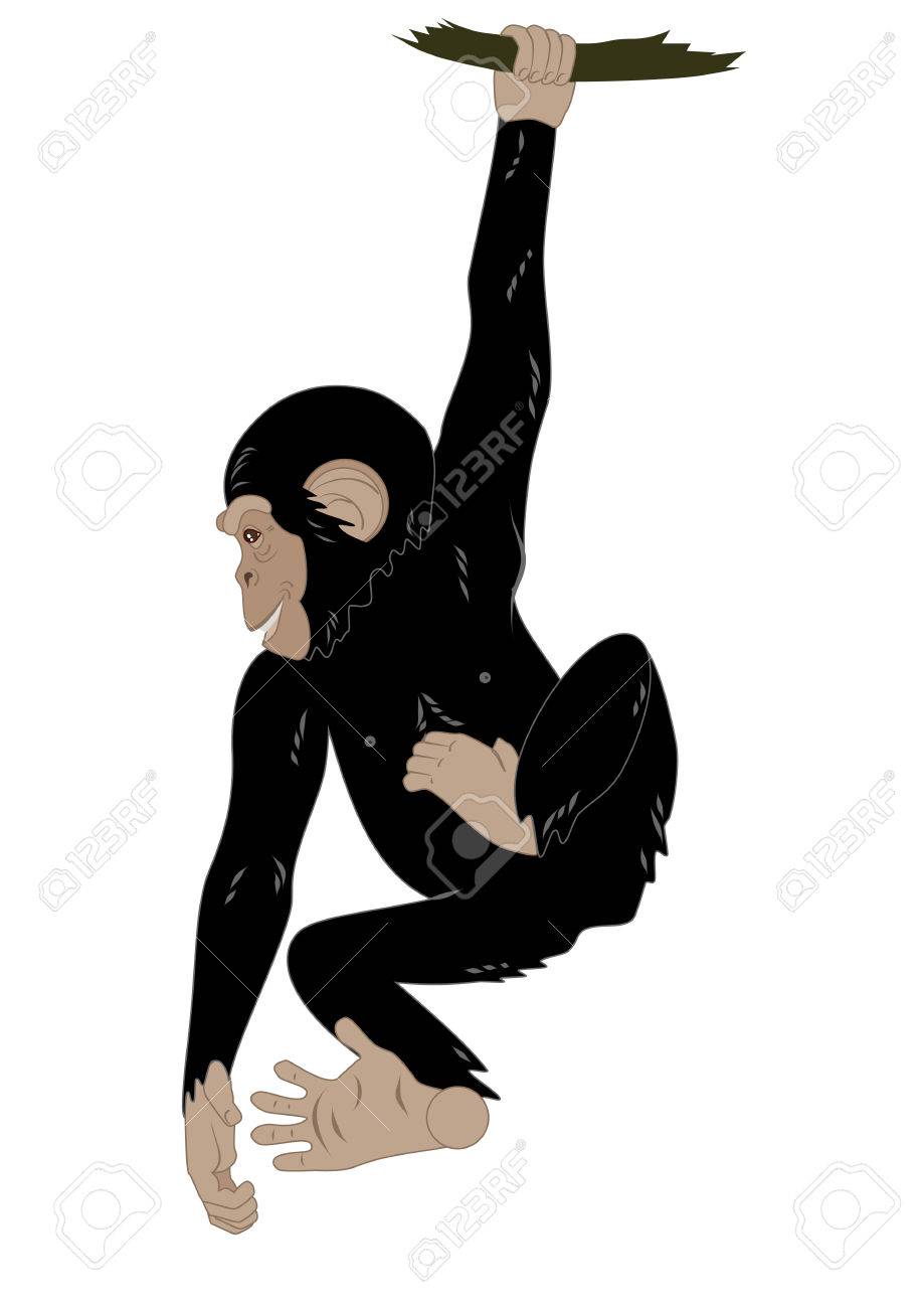 ぶどうの木に掛かっている変な猿のイラスト素材 ベクタ Image