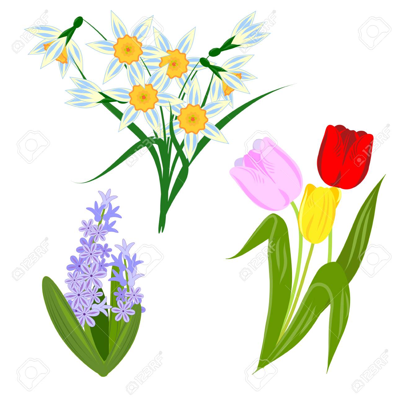 白い背景に春の花 水仙 チューリップ ヒヤシンス ベクターイラストのイラスト素材 ベクタ Image 白い背景に春の花 水仙 チューリップ ヒヤシンス ベクターイラストのイラスト素材 ベクタ Image