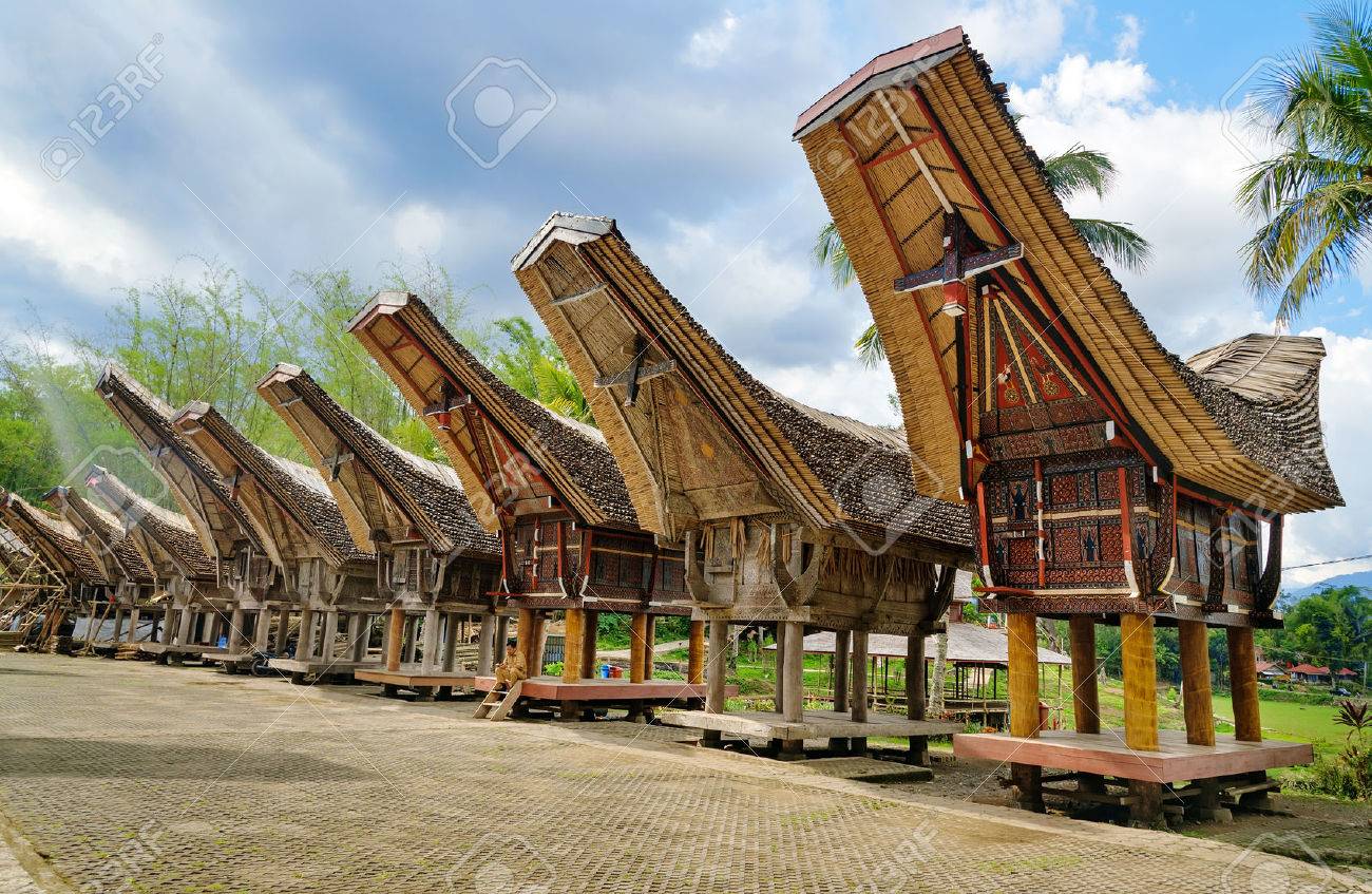 Image result for tana toraja"