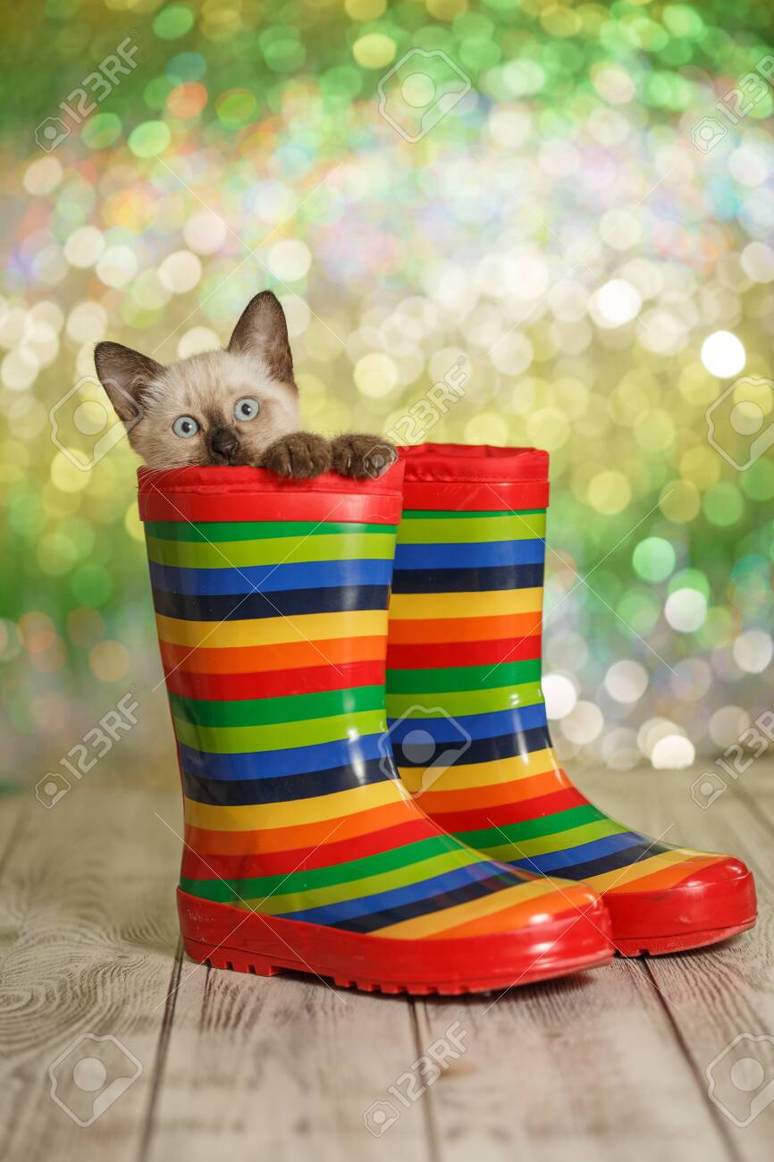 caterpillar rubber boots