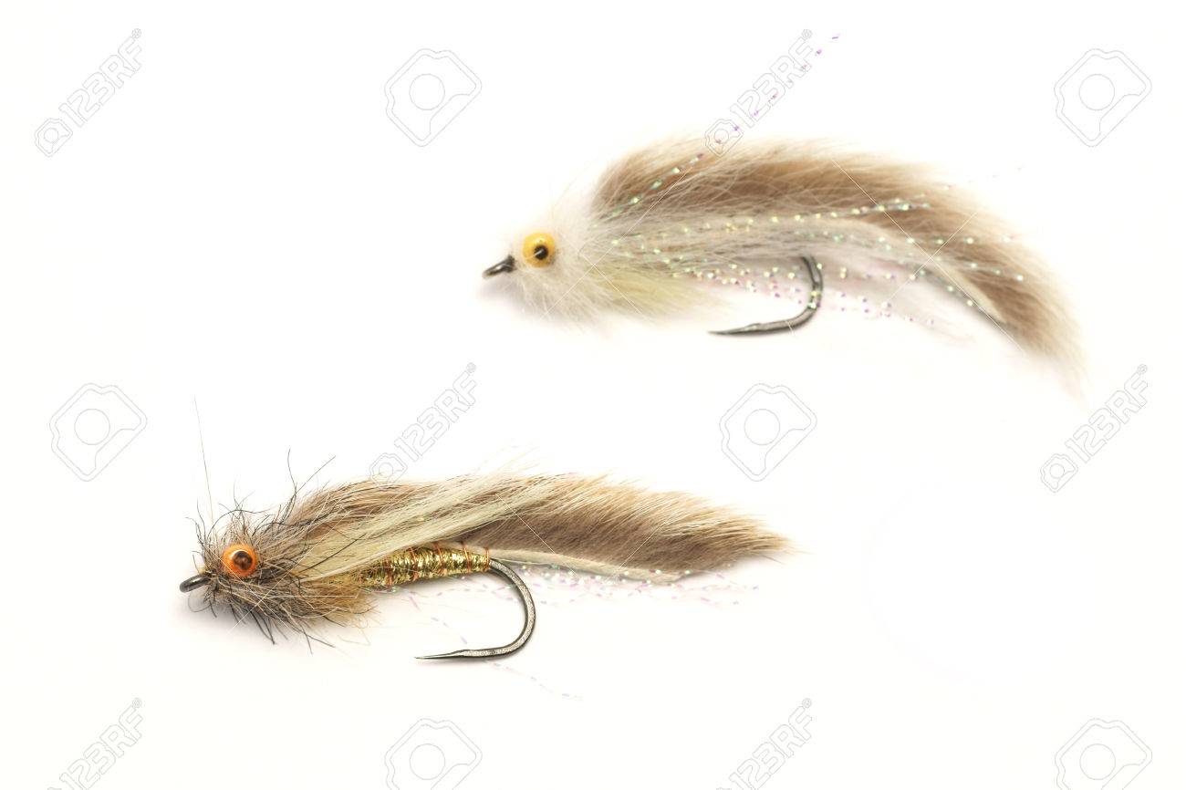 釣り フライフィッシングの人工餌 ストリーマー の写真素材 画像素材 Image