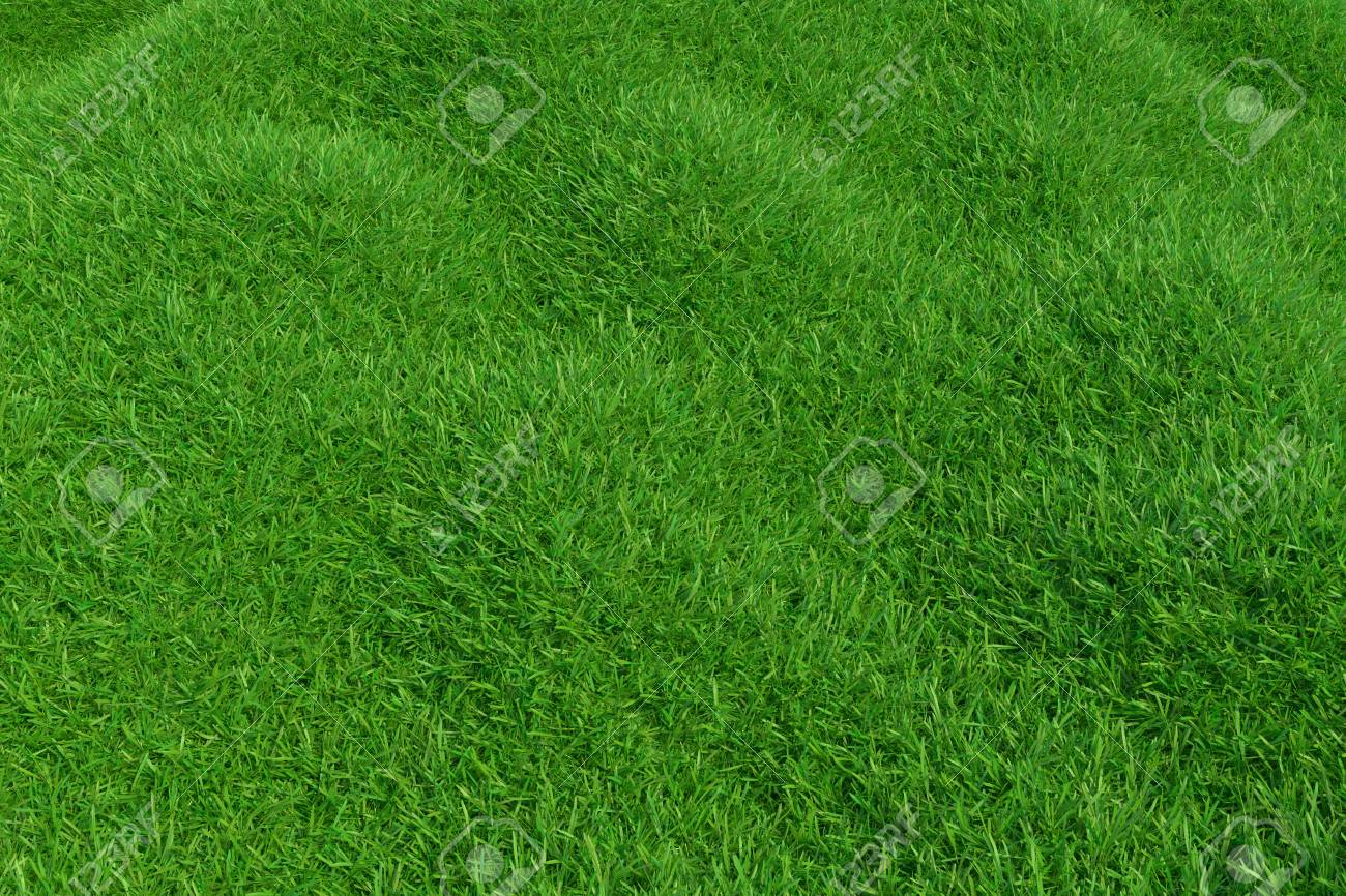 Natural Grass Texture Pattern Background Top View Grassy Lawn For Environmental Backdrop 3d Rendering Stock Photo Picture And Royalty Free Image Image 94435325