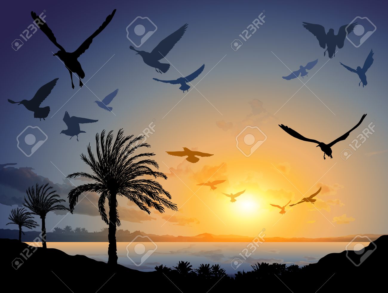 飛ぶ鳥の群れと熱帯の海風景のイラストのイラスト素材・ベクター Image