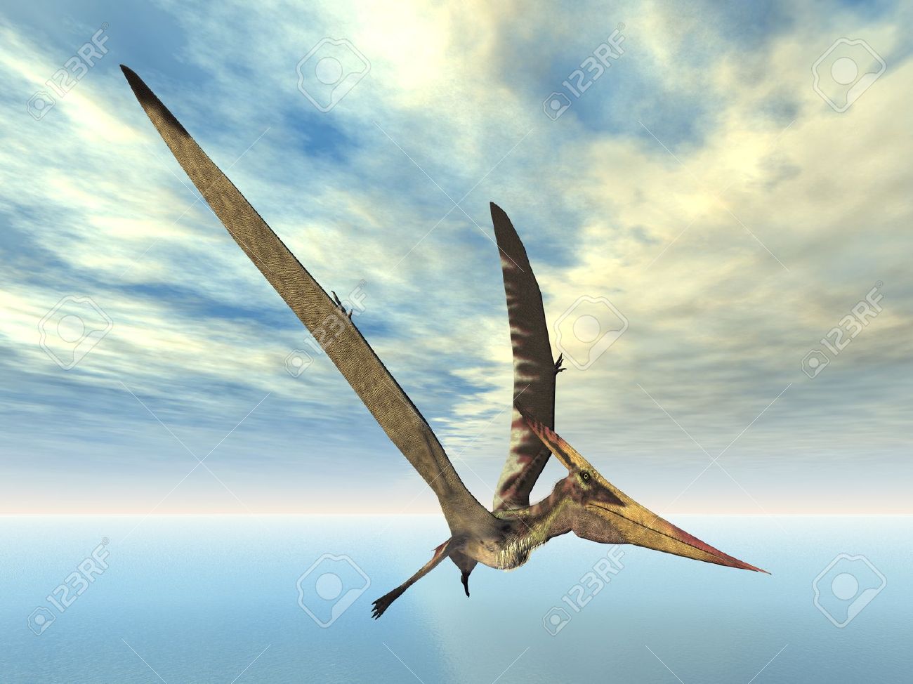 2000 Gambar Dinosaurus Pteranodon Paling Keren 2000 Gambar Dinosaurus Pteranodon Paling Keren