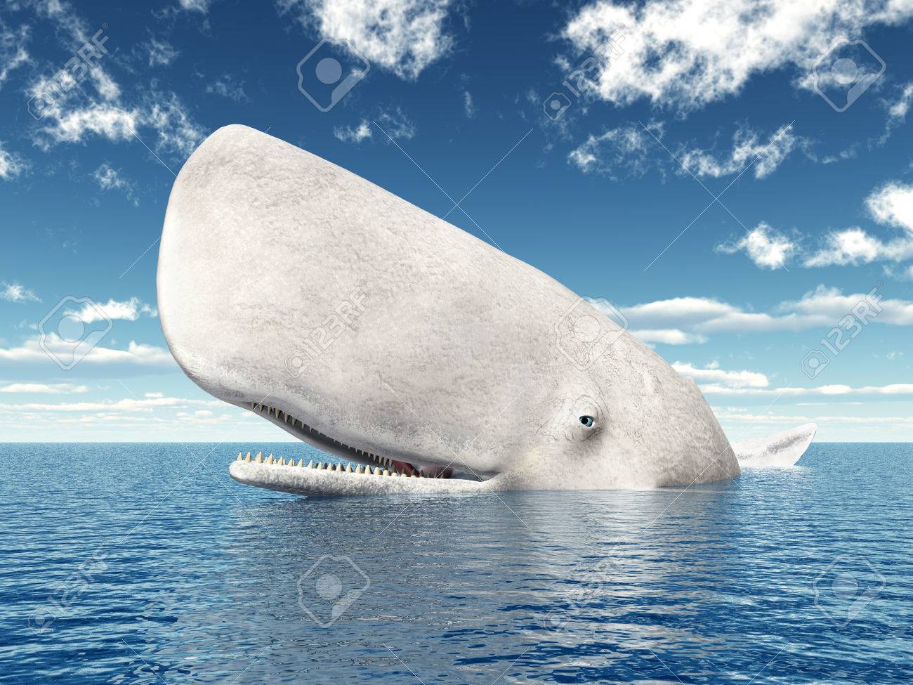 マッコウクジラの写真素材・画像素材 Image 39001498