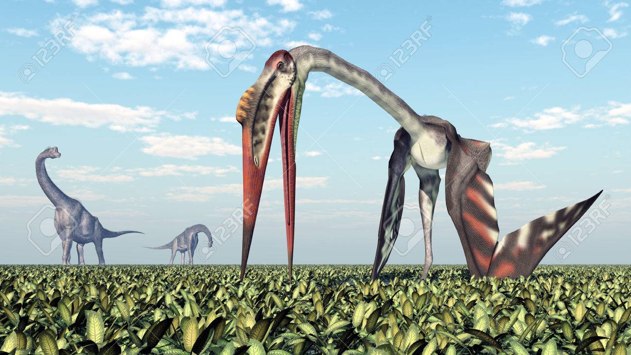 恐竜ブラキオサウルスと翼竜ケツァルコアトルス の写真素材 画像素材 Image