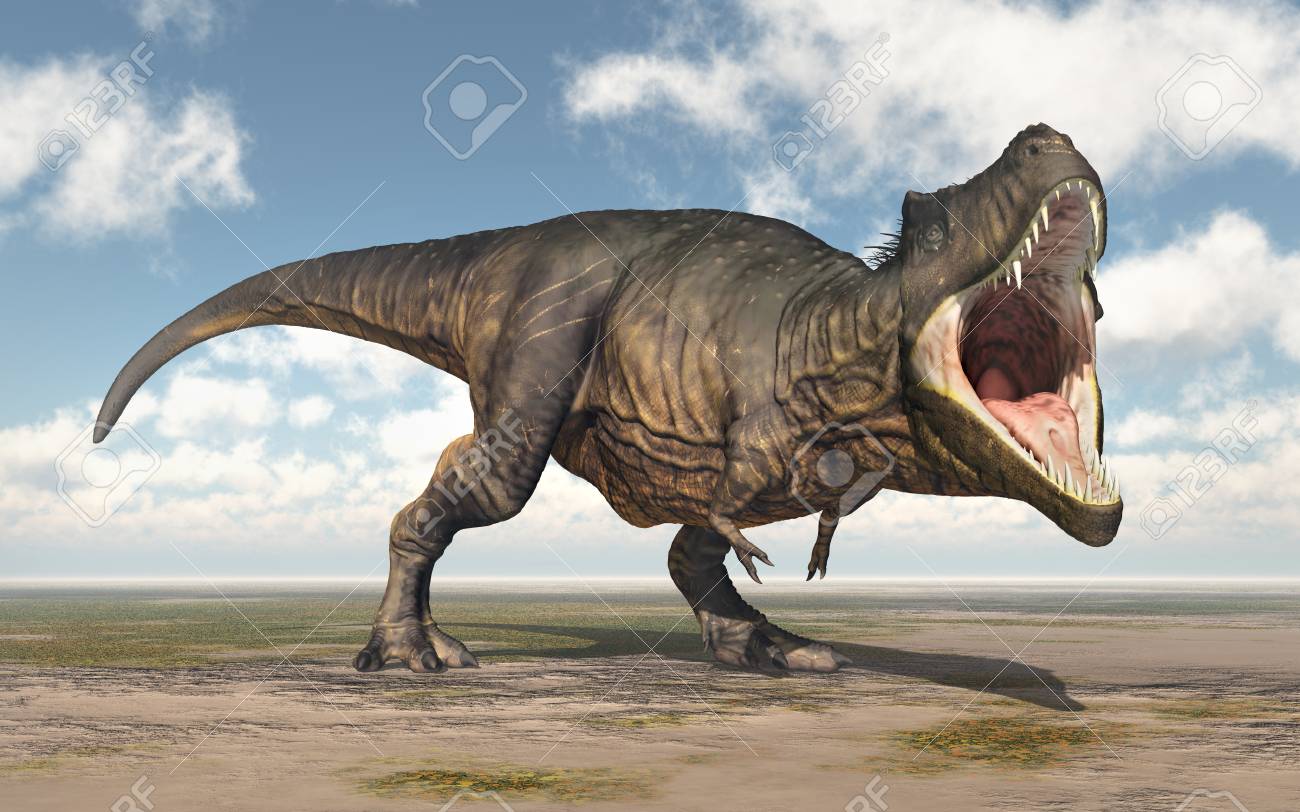 dinosaur tyrannosaurus rex stock