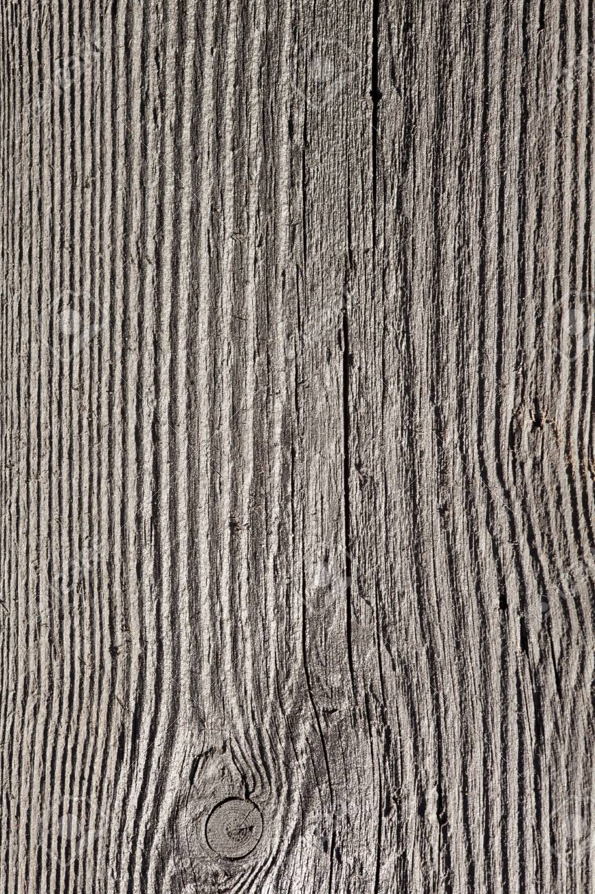 wood grain texture birch stock photo wood grain texture or wooden board background plank wood grain texture or wooden board background plank wood grain texture birch stock photo wood grain texture or wooden board background plank wood grain texture or wooden board background plank