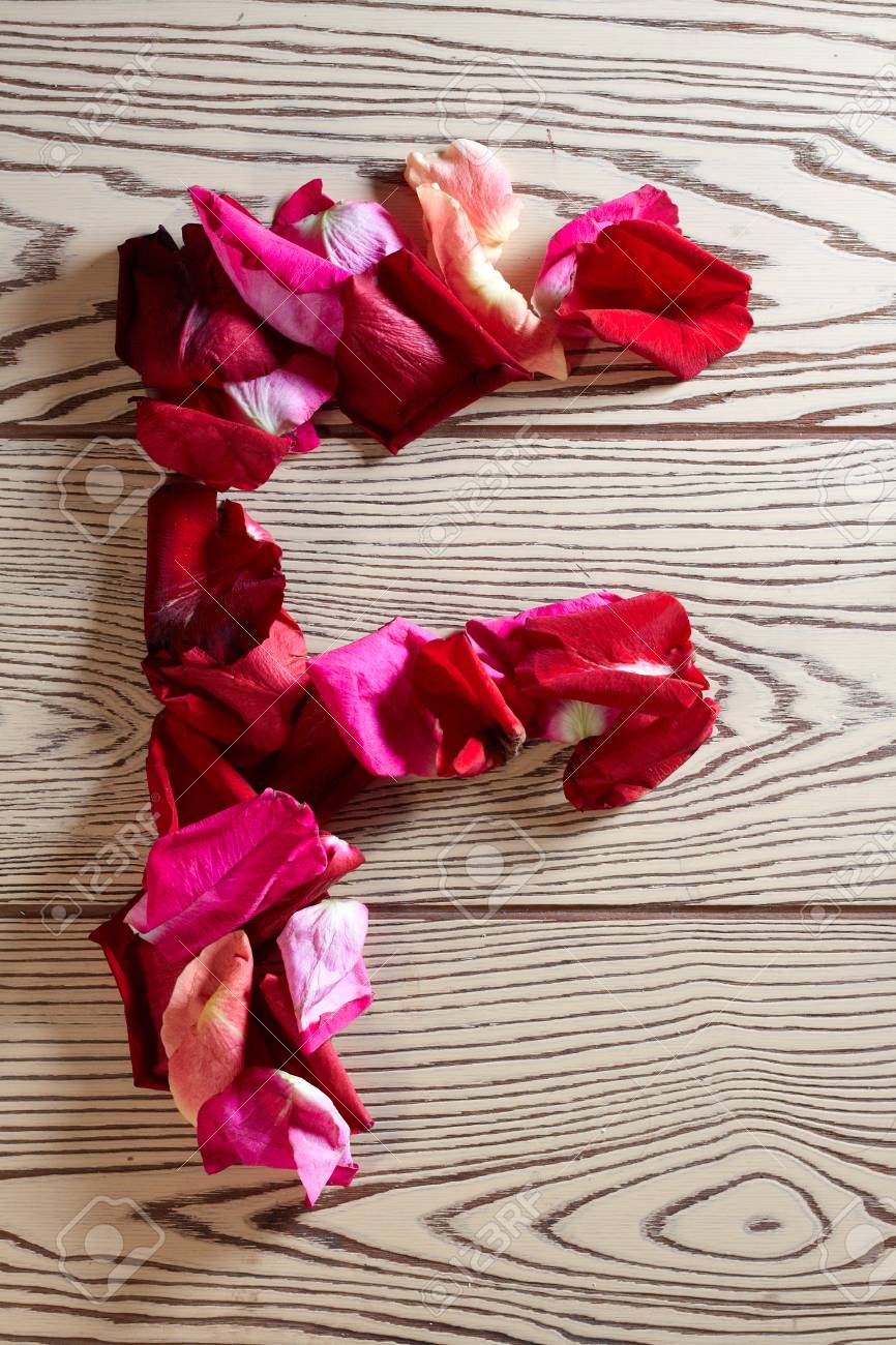 Just our Pictures Roses Just our Pictures Roses