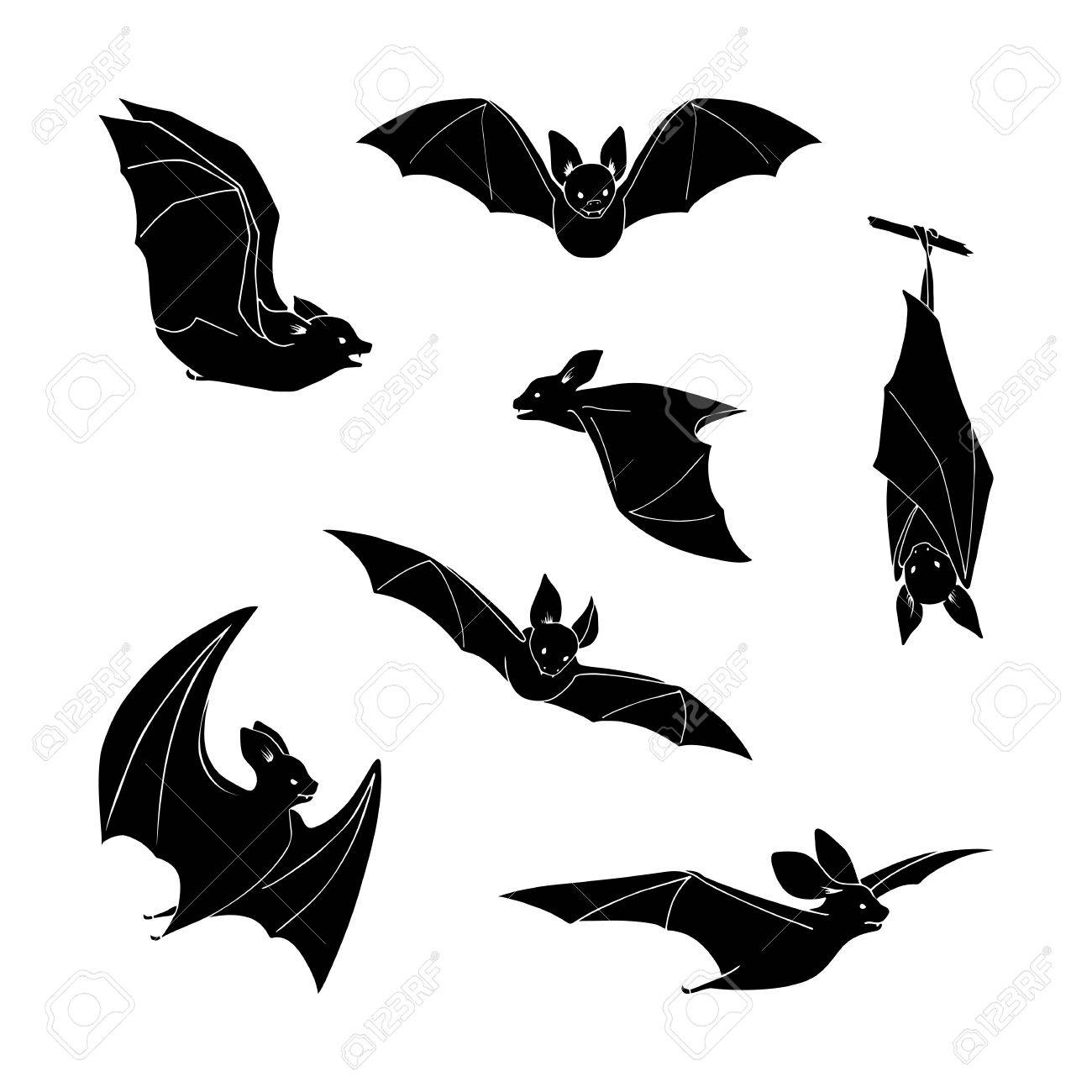 Set Of Cartoon Black Bat In Different Stance On A White Background Hand Drawing Design Elements Royalty Free Cliparts Vectors And Stock Illustration Image 62205572