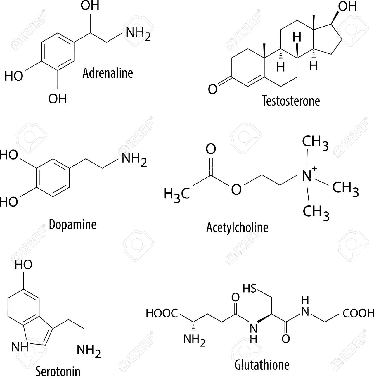 chemical formulas of neurotransmitters