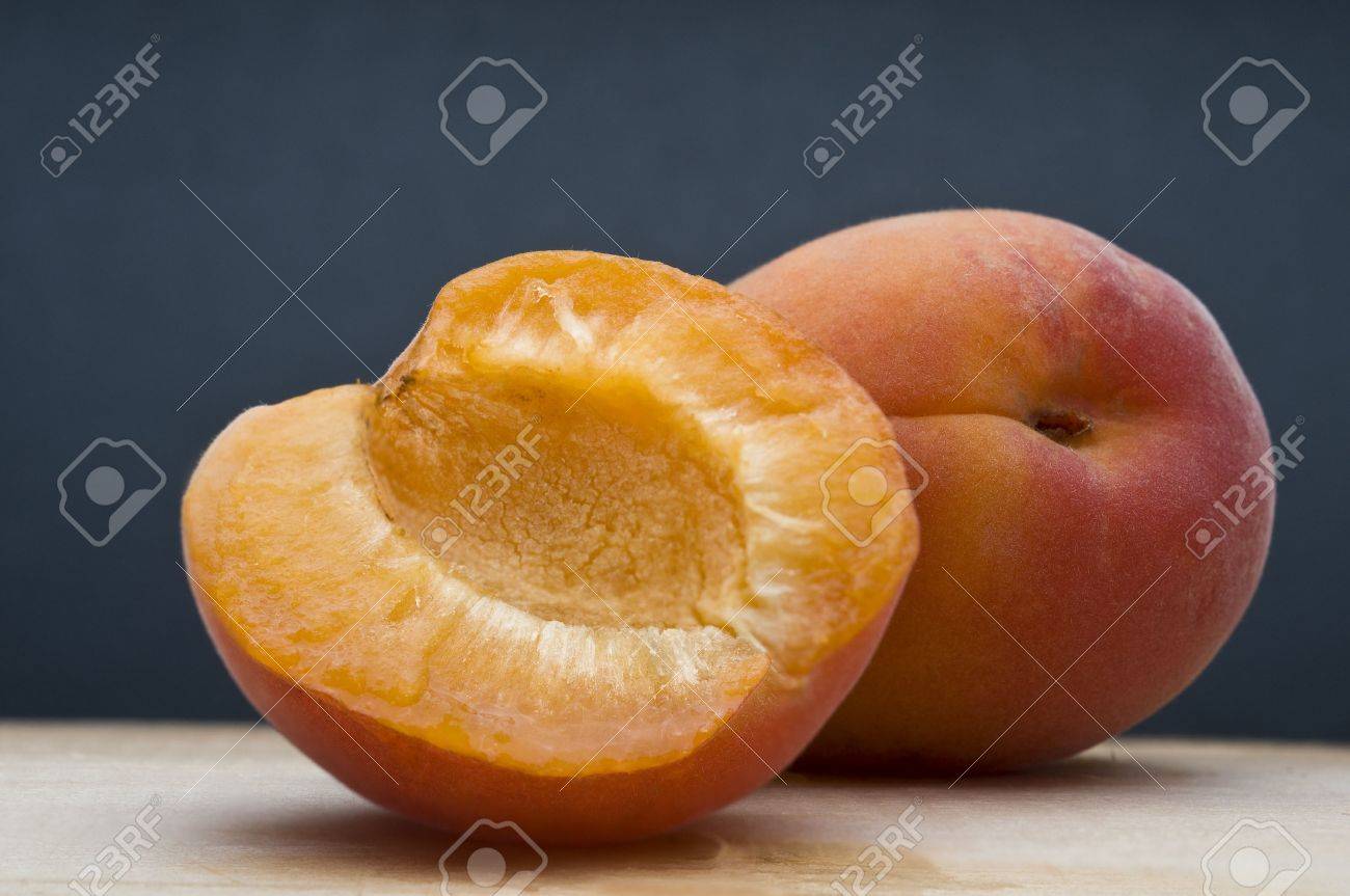 etiam-dictum-ipsum-a-felis