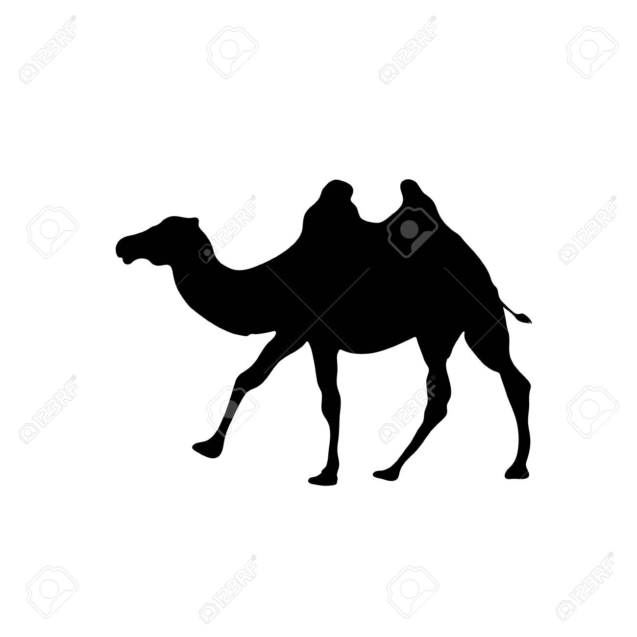 Camel Outline Vector Icon Isolated On Transparent Background Concept Illustration Black Silhouette Royalty Free Cliparts Vectors And Stock Illustration Image Camel Outline Vector Icon Isolated On Transparent Background Concept Illustration Black Silhouette Royalty Free Cliparts Vectors And Stock Illustration Image