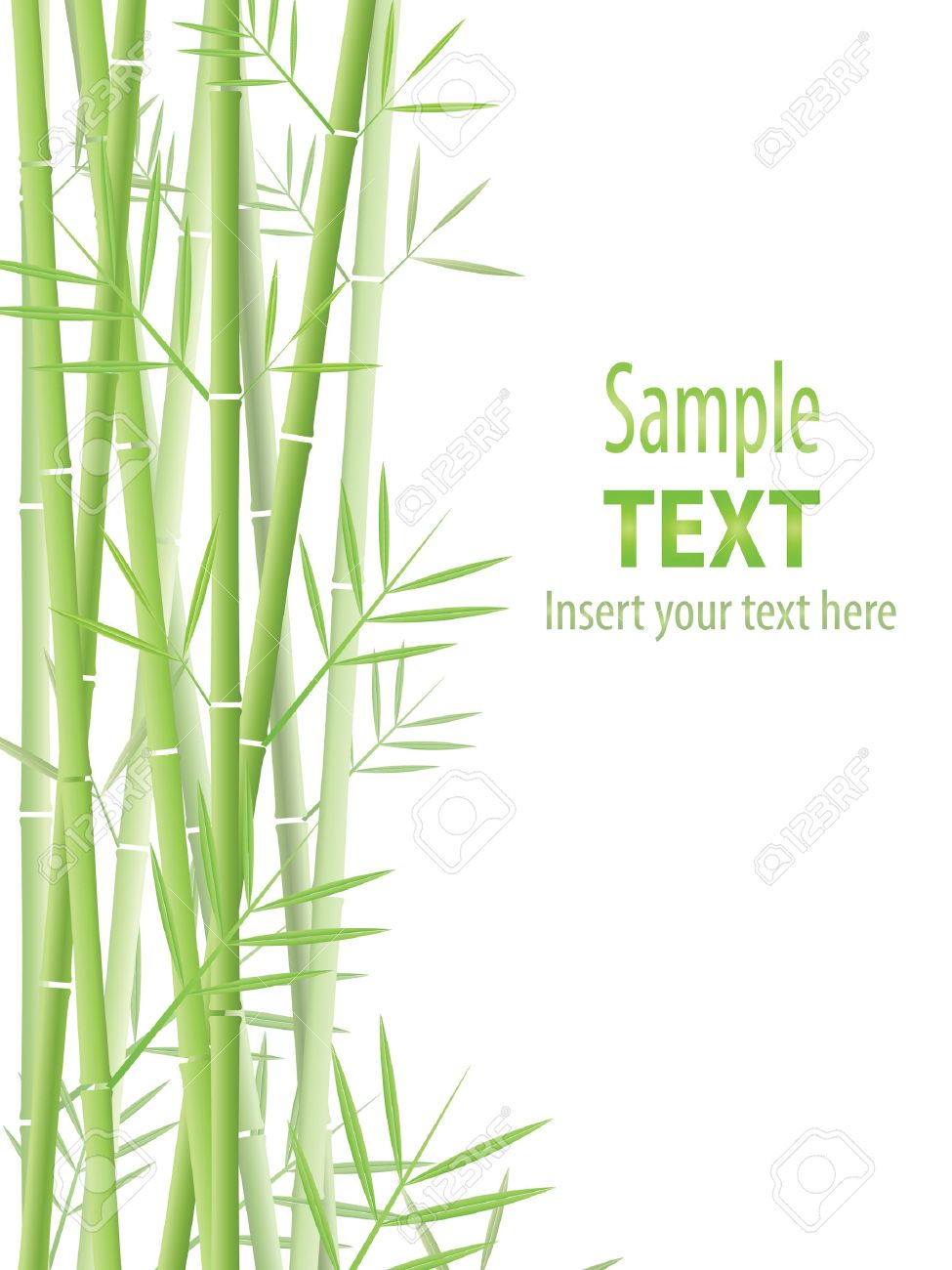 Vector Bamboo Background Royalty Free SVG, Cliparts, Vectors, and Stock  Illustration. Image 8147762., image size:975x1300