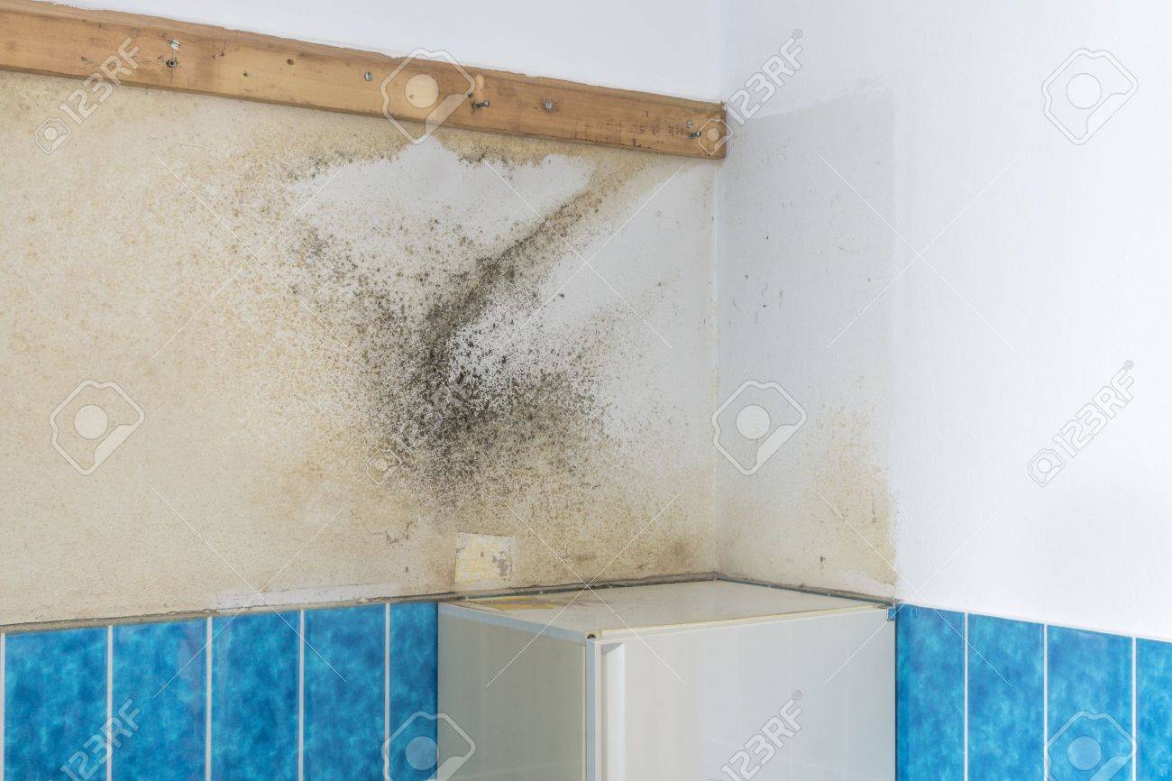 A Bathroom Wall Covered With Rising Damp And Moldy Mildew Stock A Bathroom Wall Covered With Rising Damp And Moldy Mildew Stock