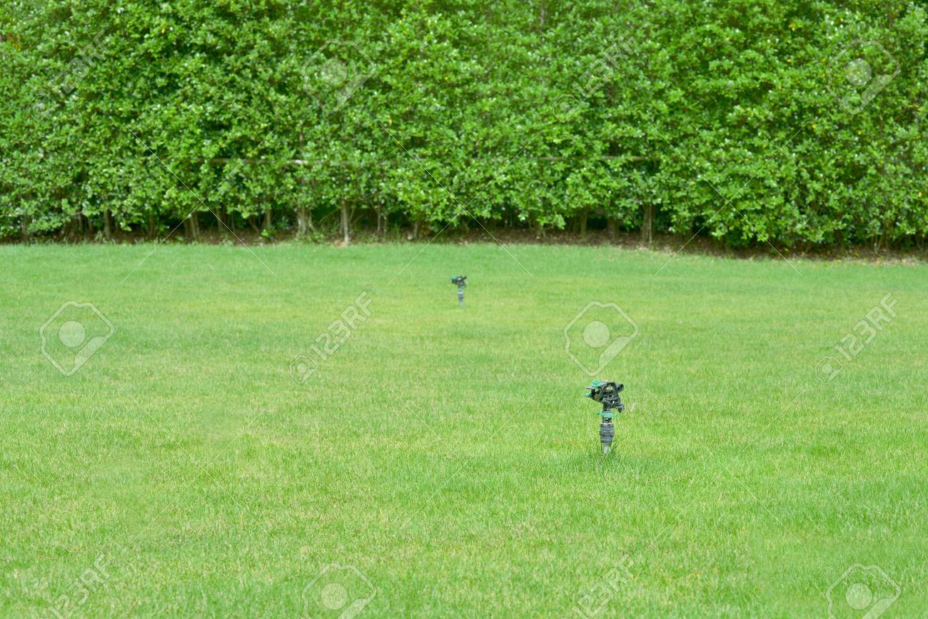 Aspersor En El Jardin De Hierba Y La Pared De La Planta Cerca