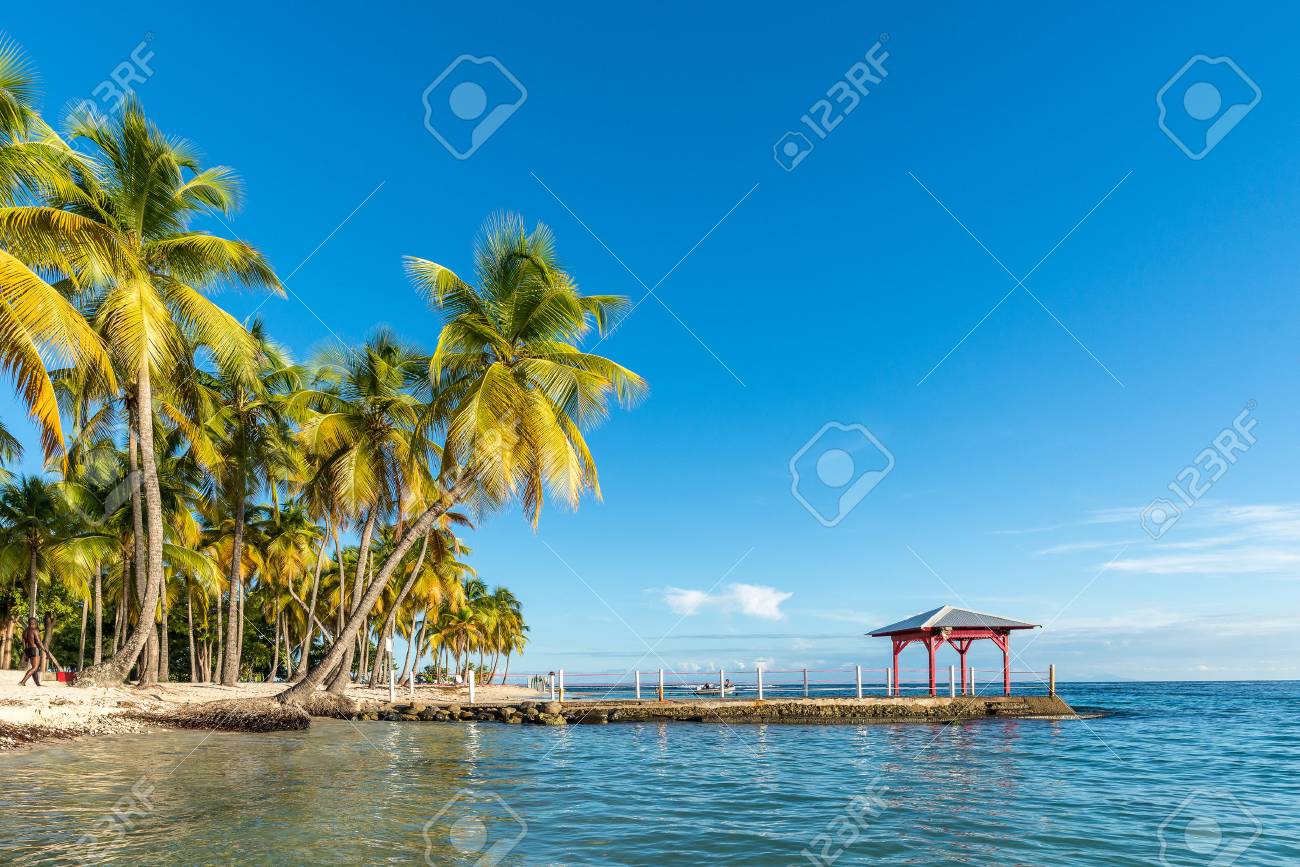 Beachfront Of Plage De La Caravelle In Guadeloupe