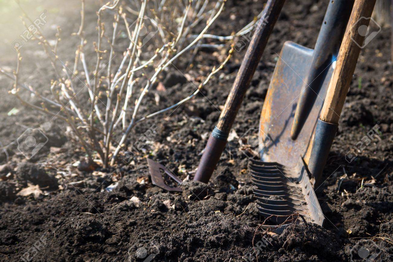 古いレトロな園芸工具 （耕運機、シャベル、熊手) 茶色の土 (耕さ土地