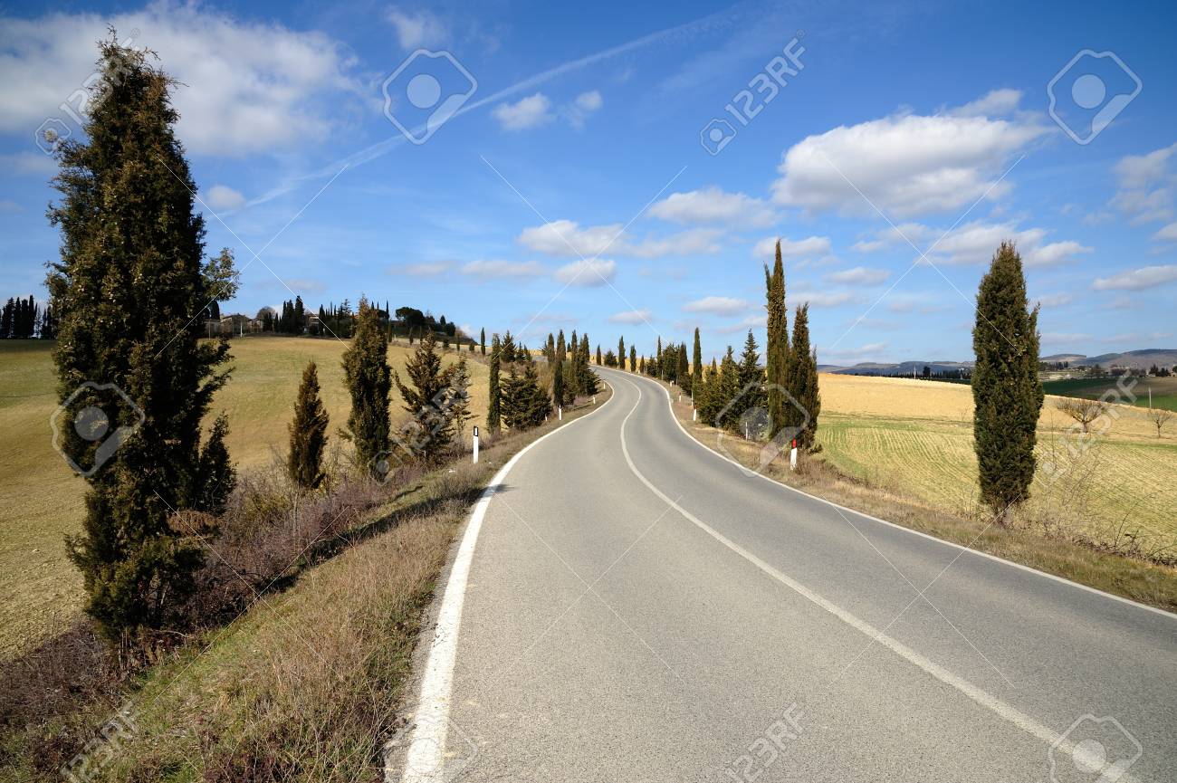 Road with speed limit signs in open landscape. photo – Summer Image on  Unsplash, image size:1300x865