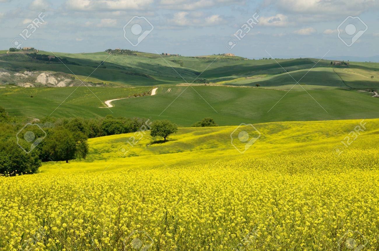 Fotografie paesaggi di campagna 95 Fotografie paesaggi di campagna 33