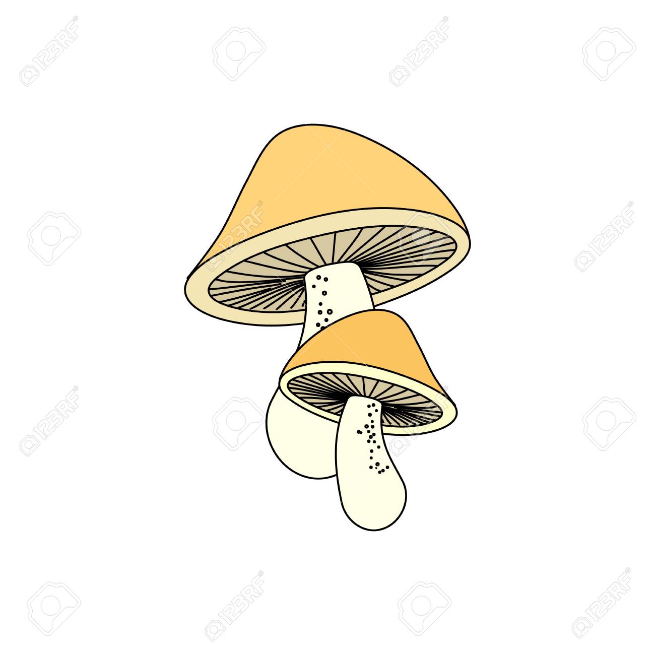 stylish mushrooms in color symbol or template illustration isolated