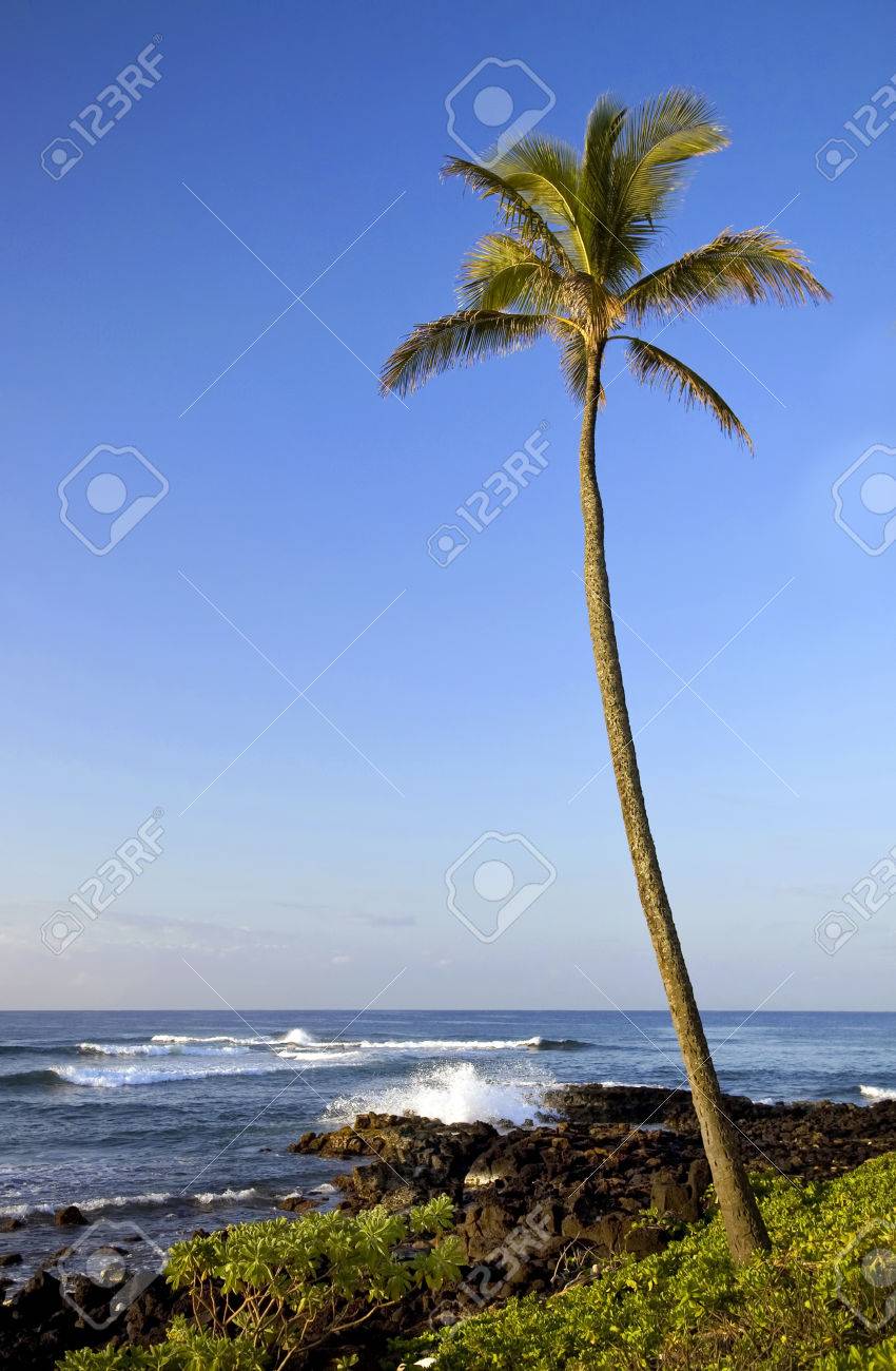 あなたのタイプのための部屋とハワイ海の風景 の写真素材 画像素材 Image