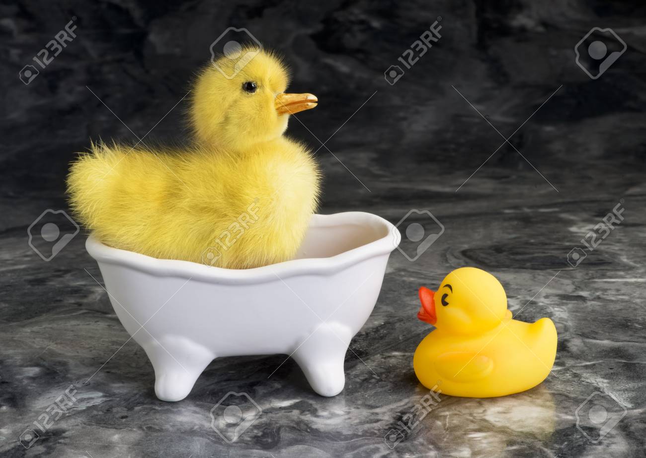 baby duck bath