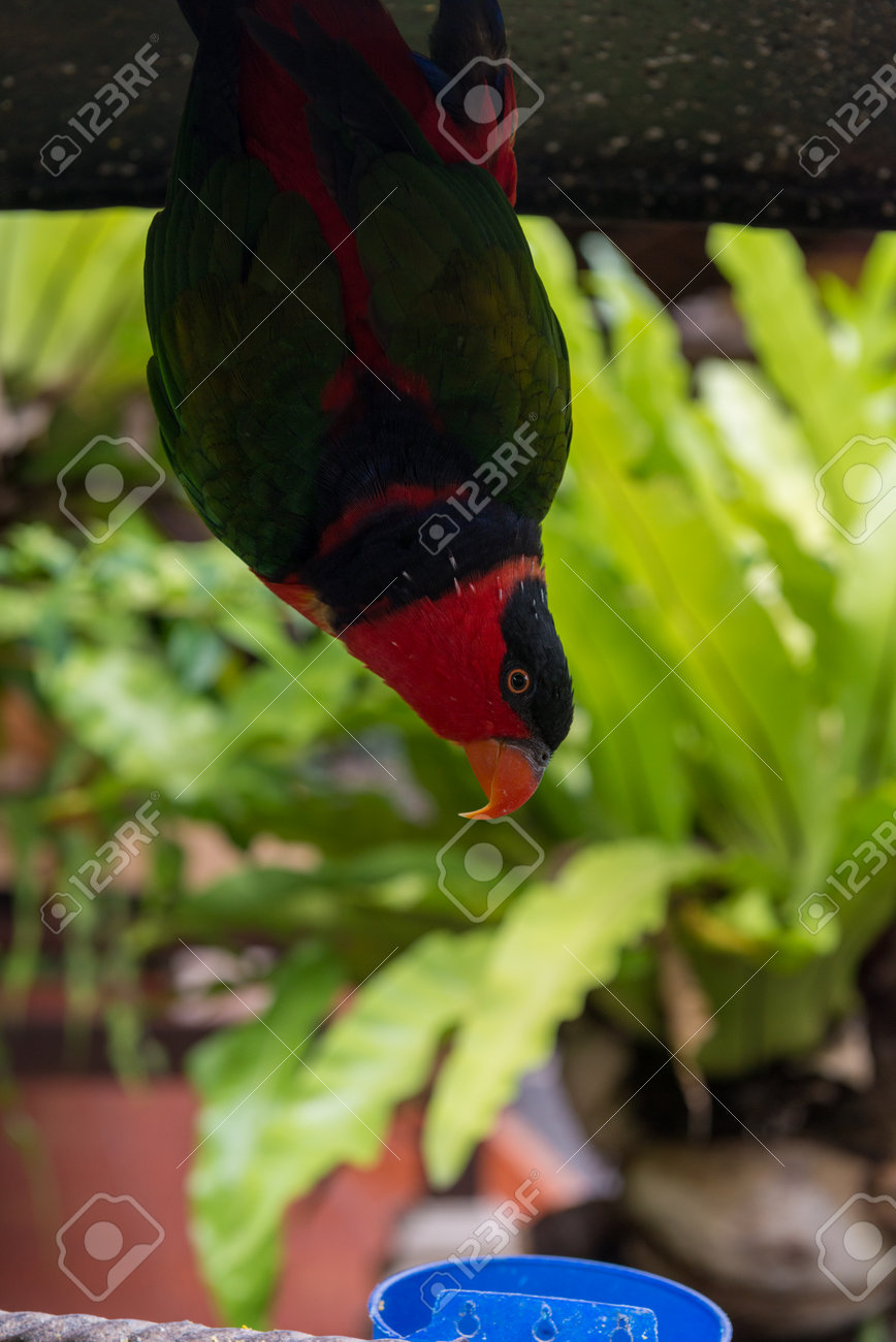 etiam-dictum-ipsum-a-felis