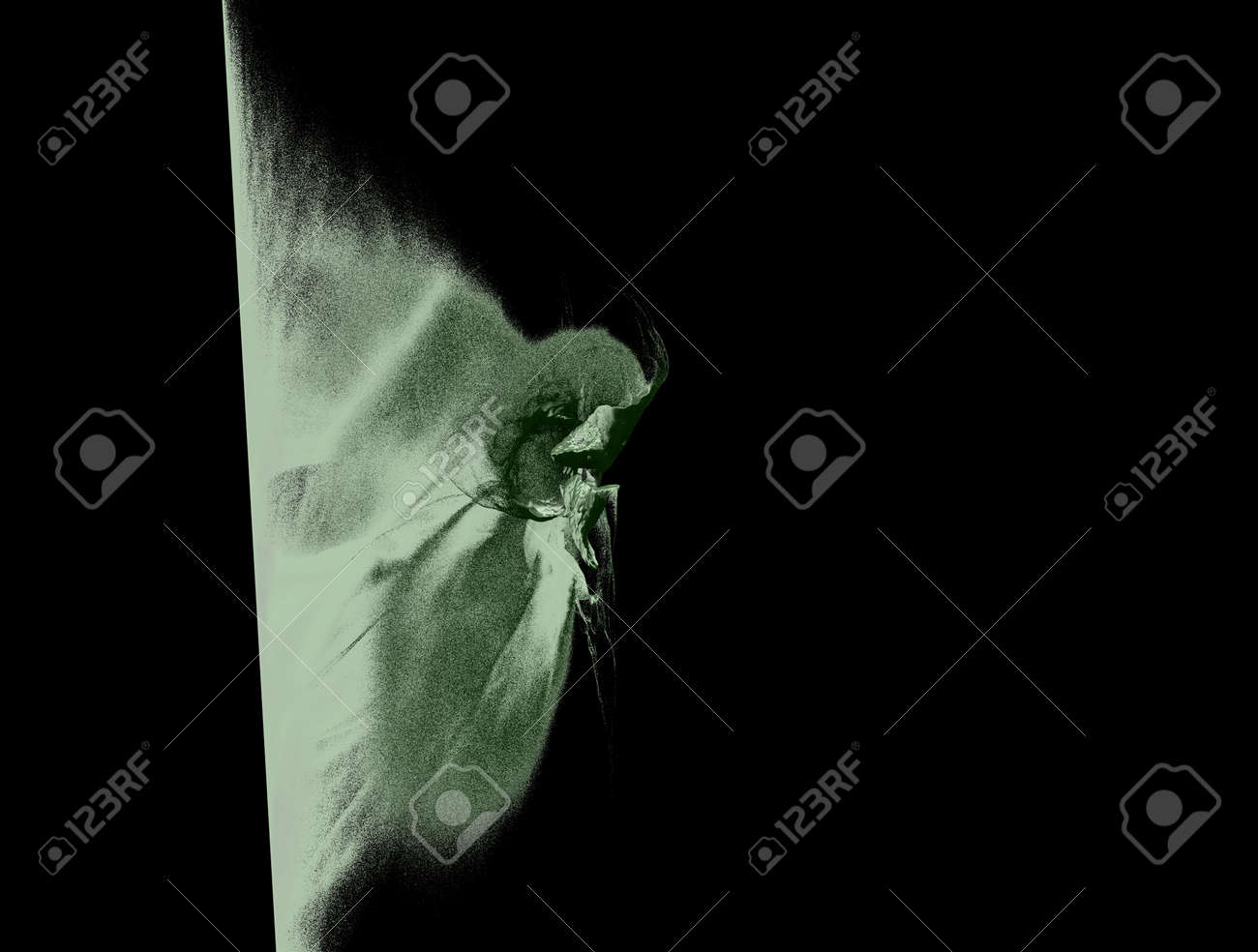 etiam-dictum-ipsum-a-felis