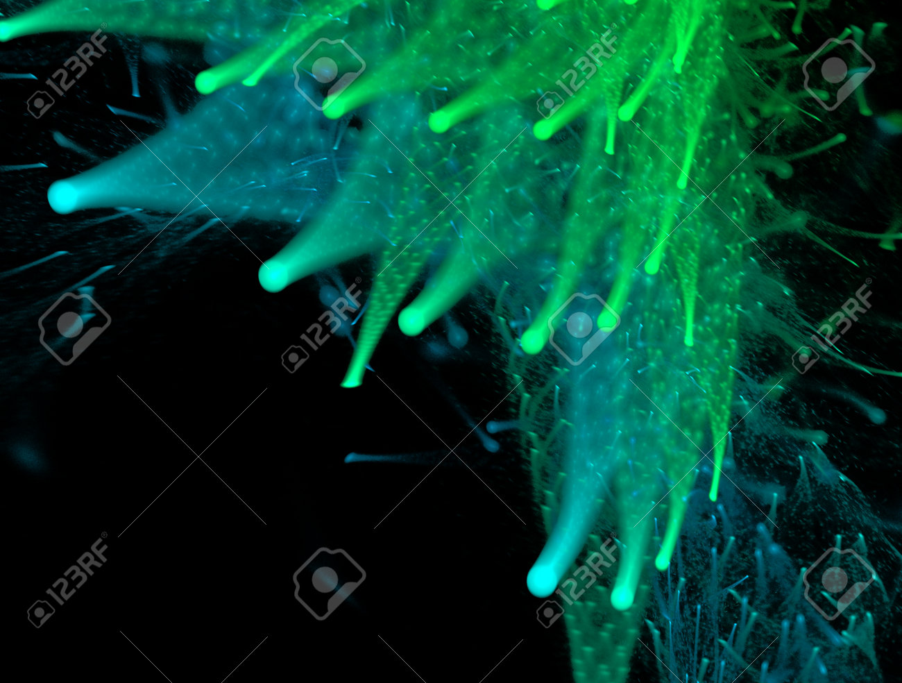 etiam-dictum-ipsum-a-felis