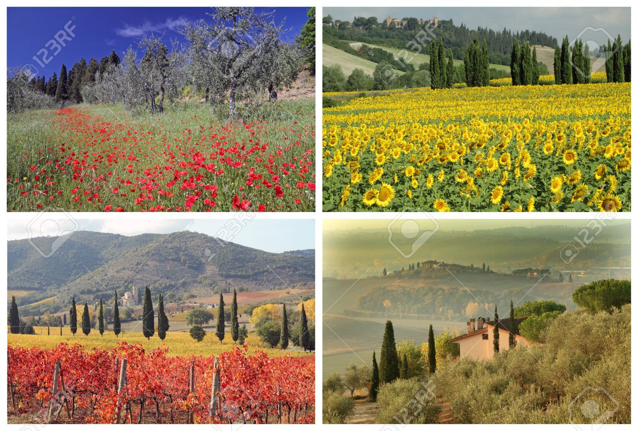 Four Seasons Collage With Spectacular Tuscan Landscape Images four seasons collage with spectacular tuscan landscape images, Italy, Europe Stock Photo - 14669550 - Four Seasons Collage With Spectacular Tuscan Landscape Images