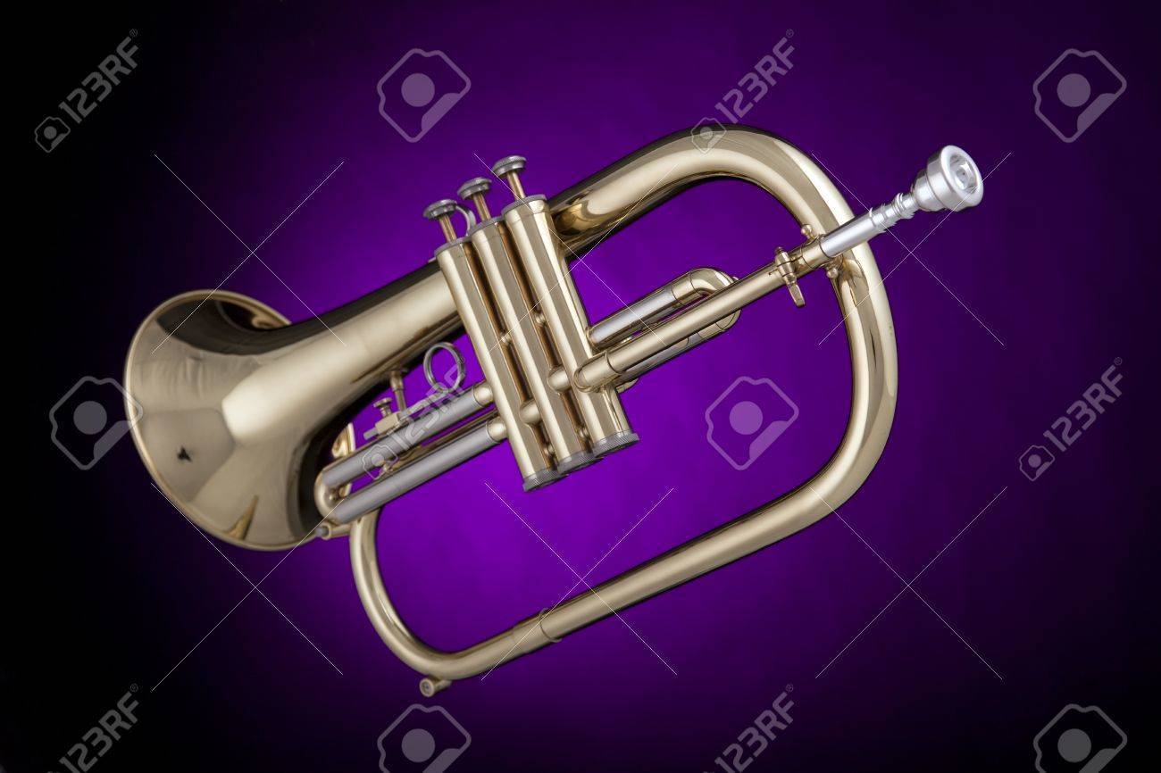 Resultado de imagen para fliscorno instrumento