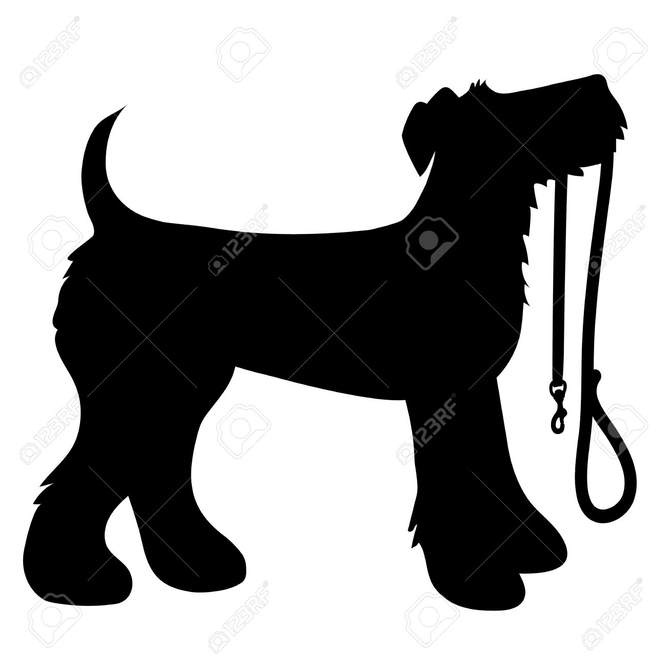 A cartoon black silhouette of an Airedale Terrier with a leash in its mouth - 30398783 A cartoon black silhouette of an Airedale Terrier with a leash in its mouth - 30398783