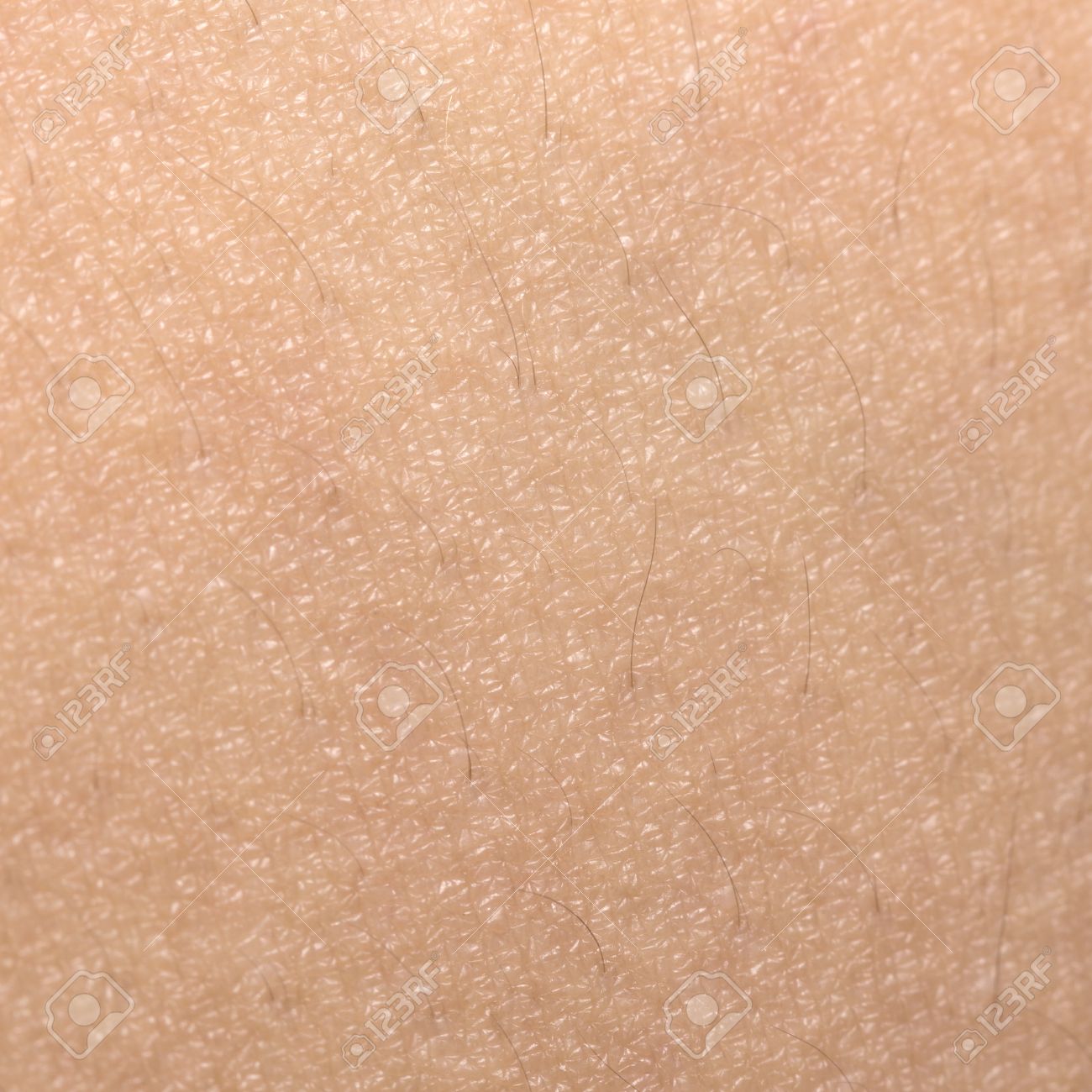 Human Skin Texture Close Up Stock Photo, Picture and Royalty Free Image.  Image 45439204.