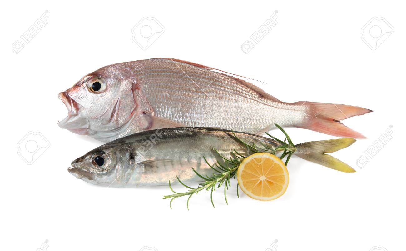 レモンとローズマリー風味の白 影で隔離 2 つの生の魚 の写真素材 画像素材 Image