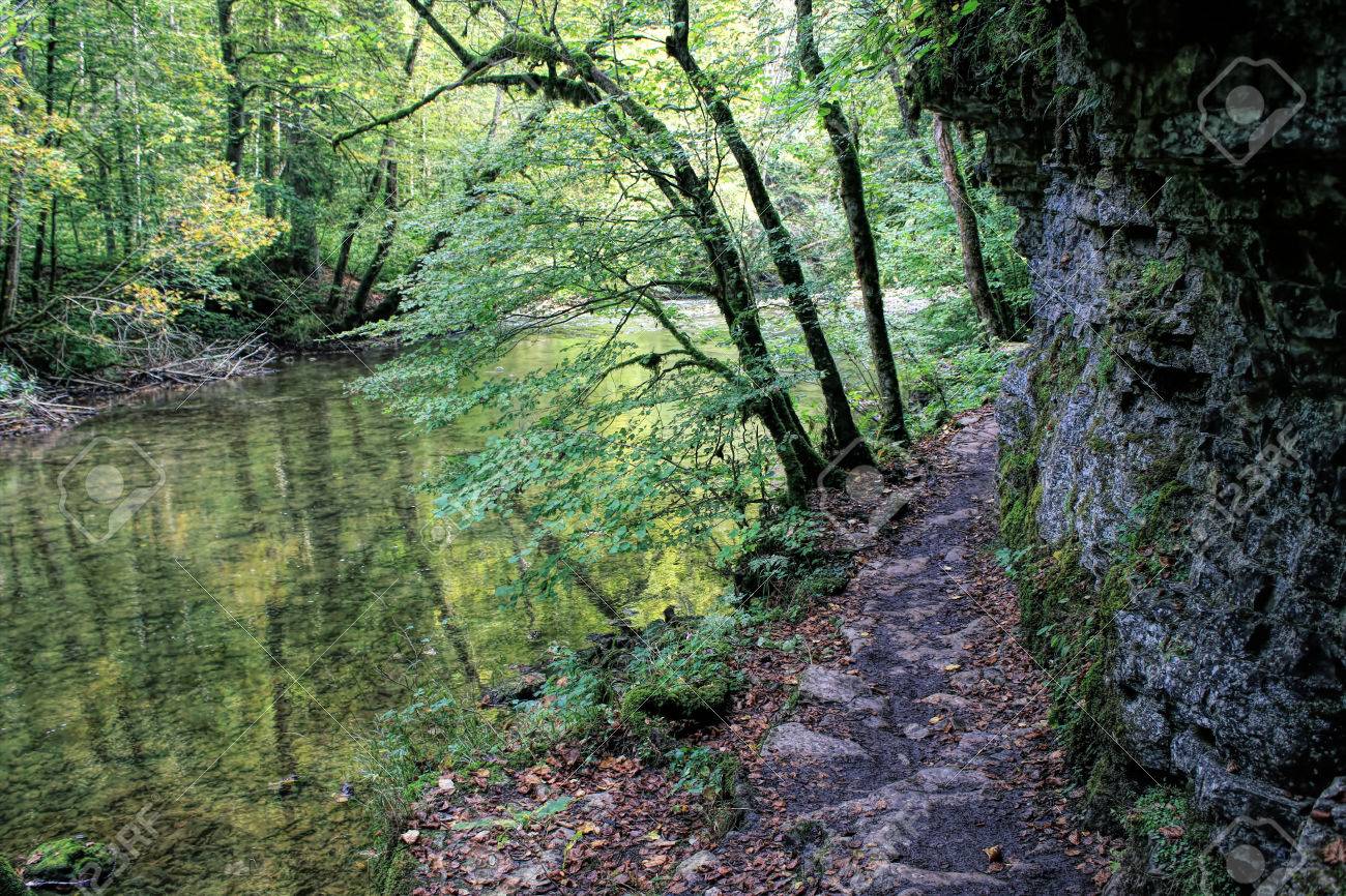black forest walking trails