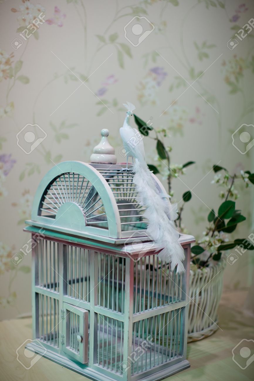 Oiseau Blanc Avec Longues Plumes Assis Sur Une Cage à Oiseaux Suranné Papier Peint à Fleurs En Arrière Plan Attention Sélective Sur Les Plumes De