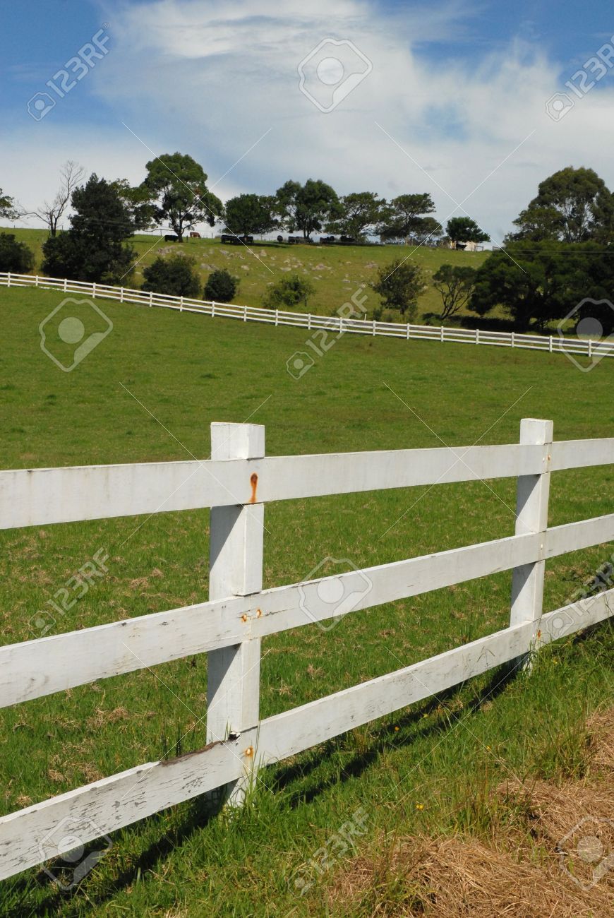 White Farm Fence White Farm Fence