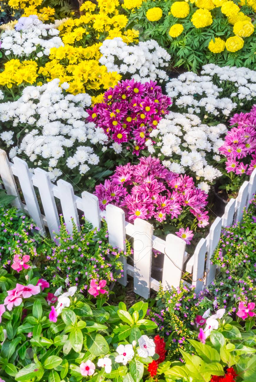 Weissen Lattenzaun Mit Blumen In Einem Vorgarten Umgeben Lizenzfreie Fotos Bilder Und Stock Fotografie Image 37296459