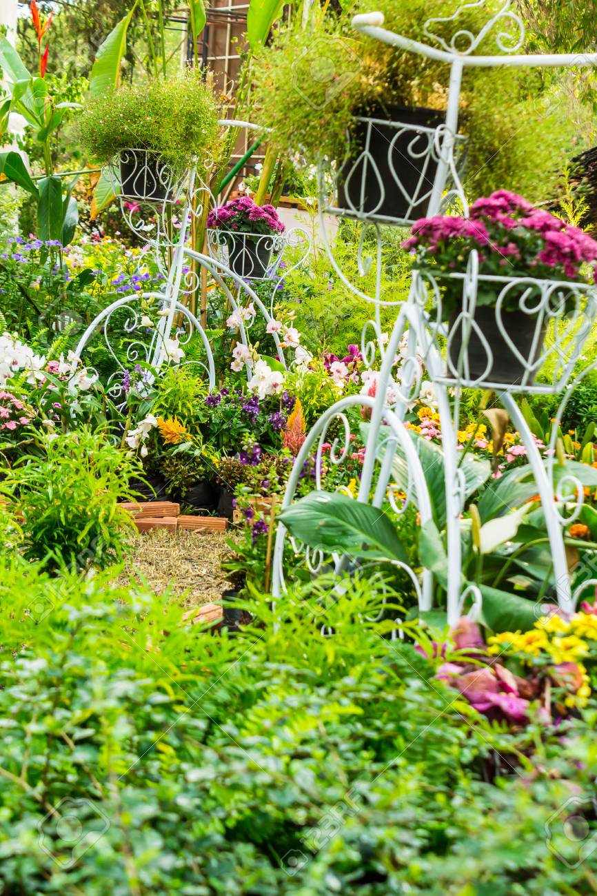 75 プランター 花 すべての美しい花の画像