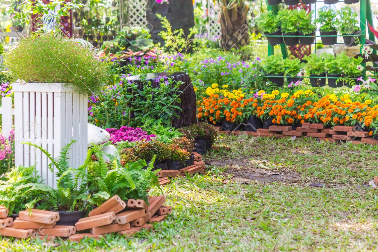 Weisser Palisadenzaun Umgeben Durch Blumen Im Vorgarten Auf Sommer Lizenzfreie Fotos Bilder Und Stock Fotografie Image 90073819