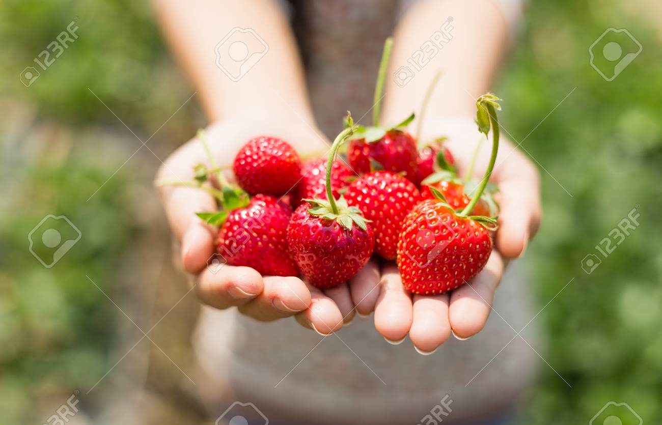 Die Frau In Rot Auf Der Farm Die Frau In Rot Auf Der Farm