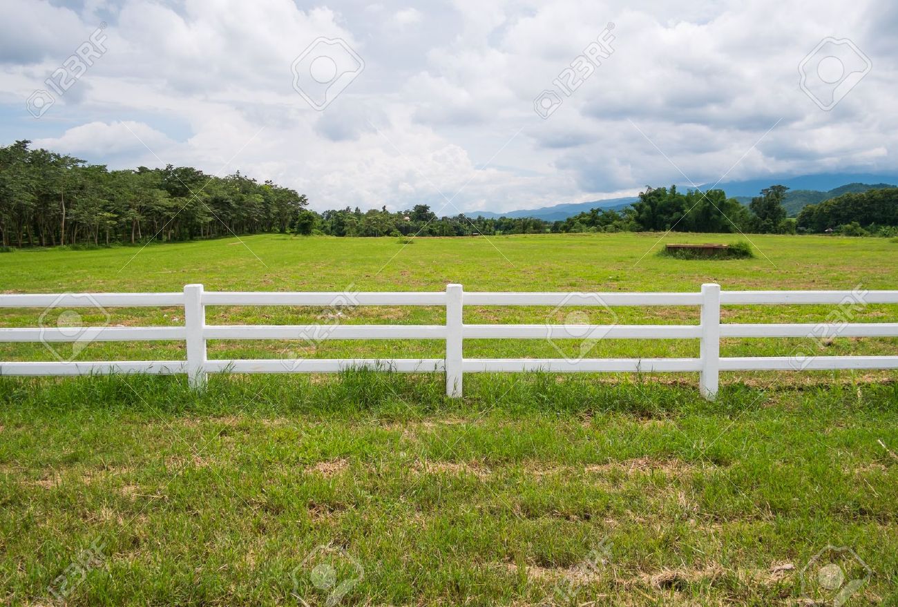 White Farm Fence White Farm Fence