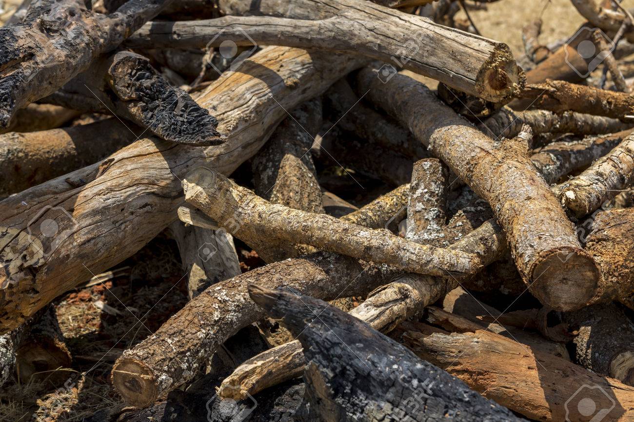 干からびた木の枝 互いの上に置かれている薄くて太い木の枝が刈り取らと異なるパターンで構成されています の写真素材 画像素材 Image