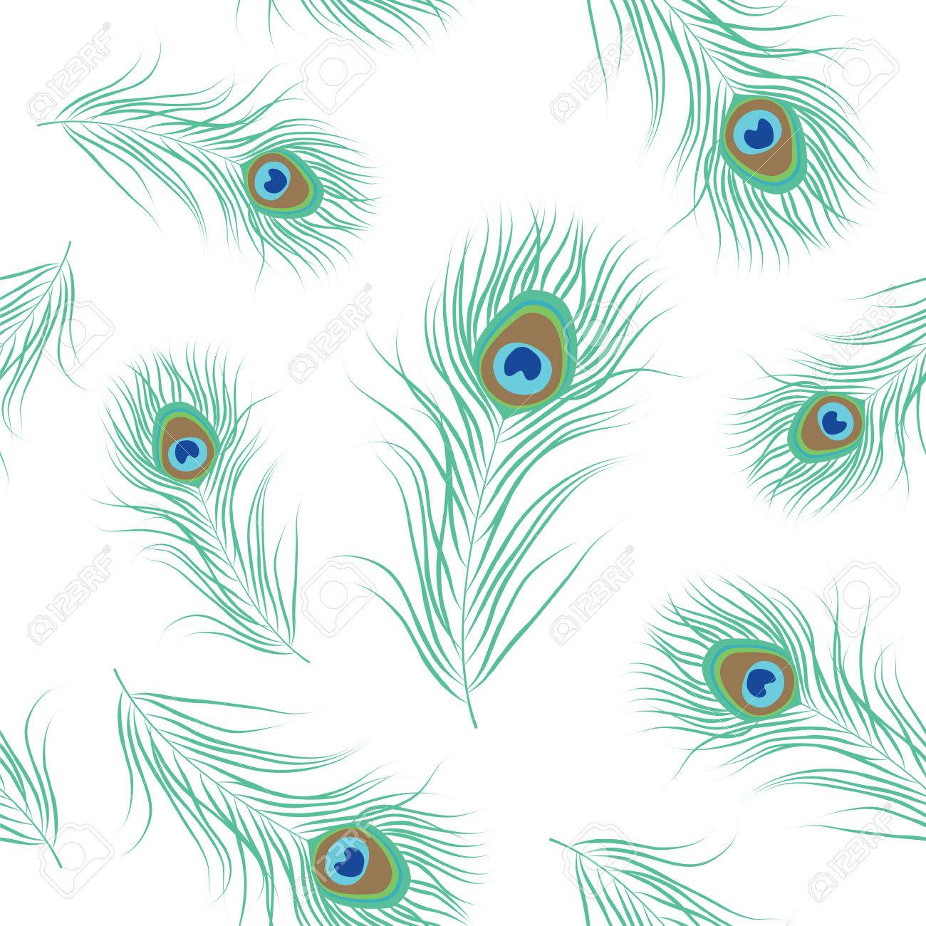 Peacock Feather Seamless Pattern. Vector Illustration Stock Photo, Picture  and Royalty Free Image. Image 64901264., image size:1300x1300