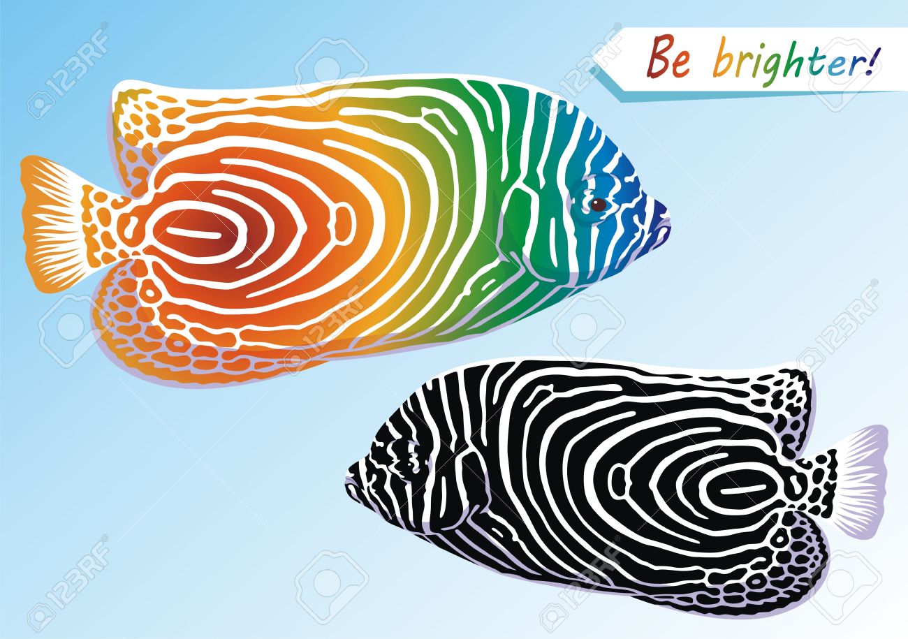 Fish With Color And Black And White Drawing On A Body Royalty Free Cliparts Vectors And Stock Illustration Image