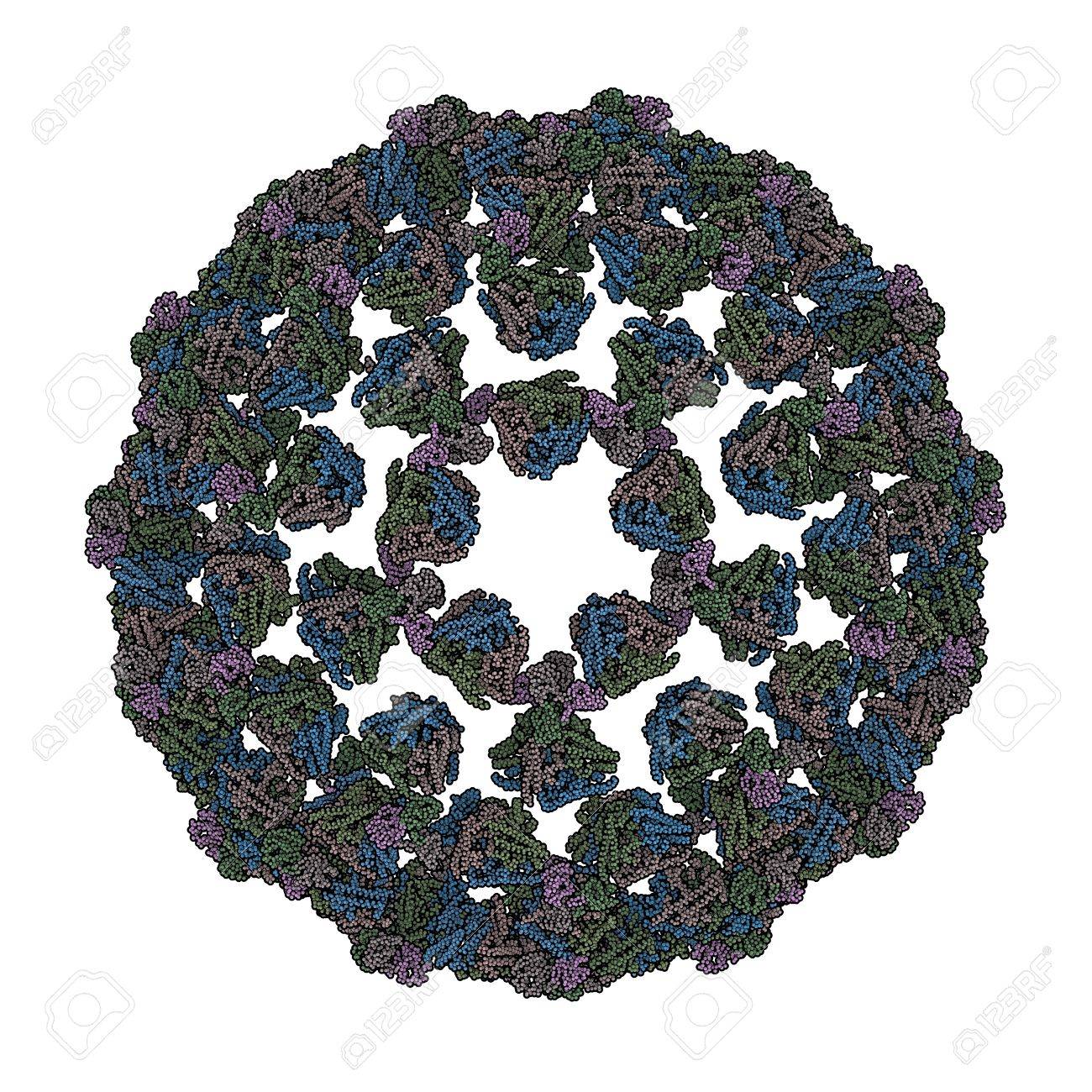 bluetounge virus
