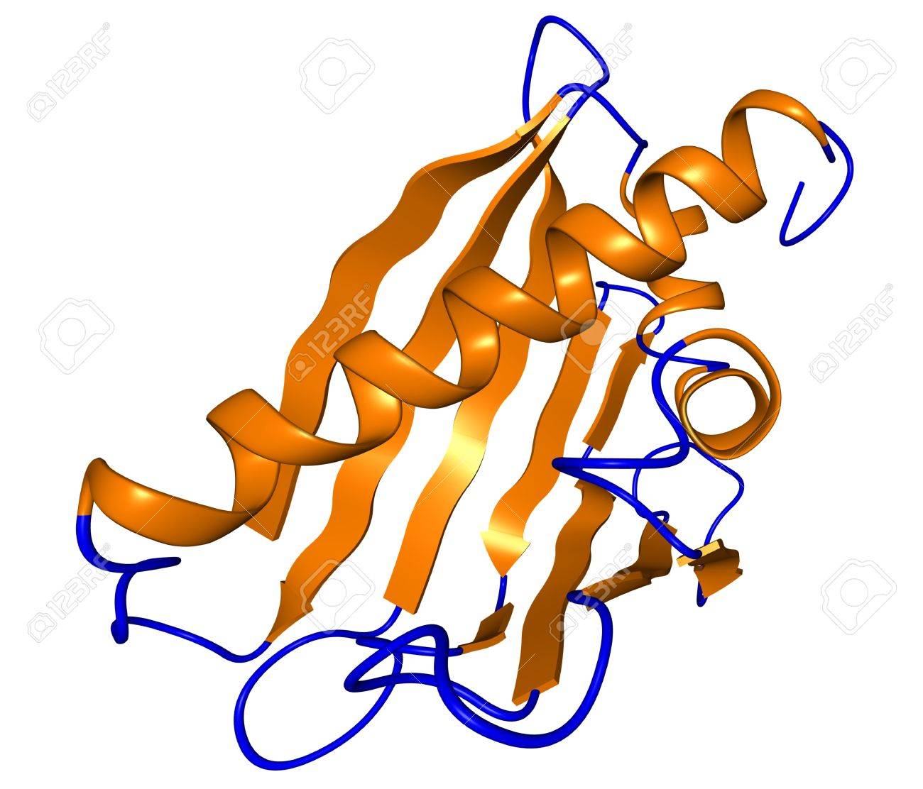 主要なシラカバ花粉アレルゲン 賭け V 1 分子の化学構造 の写真素材 画像素材 Image
