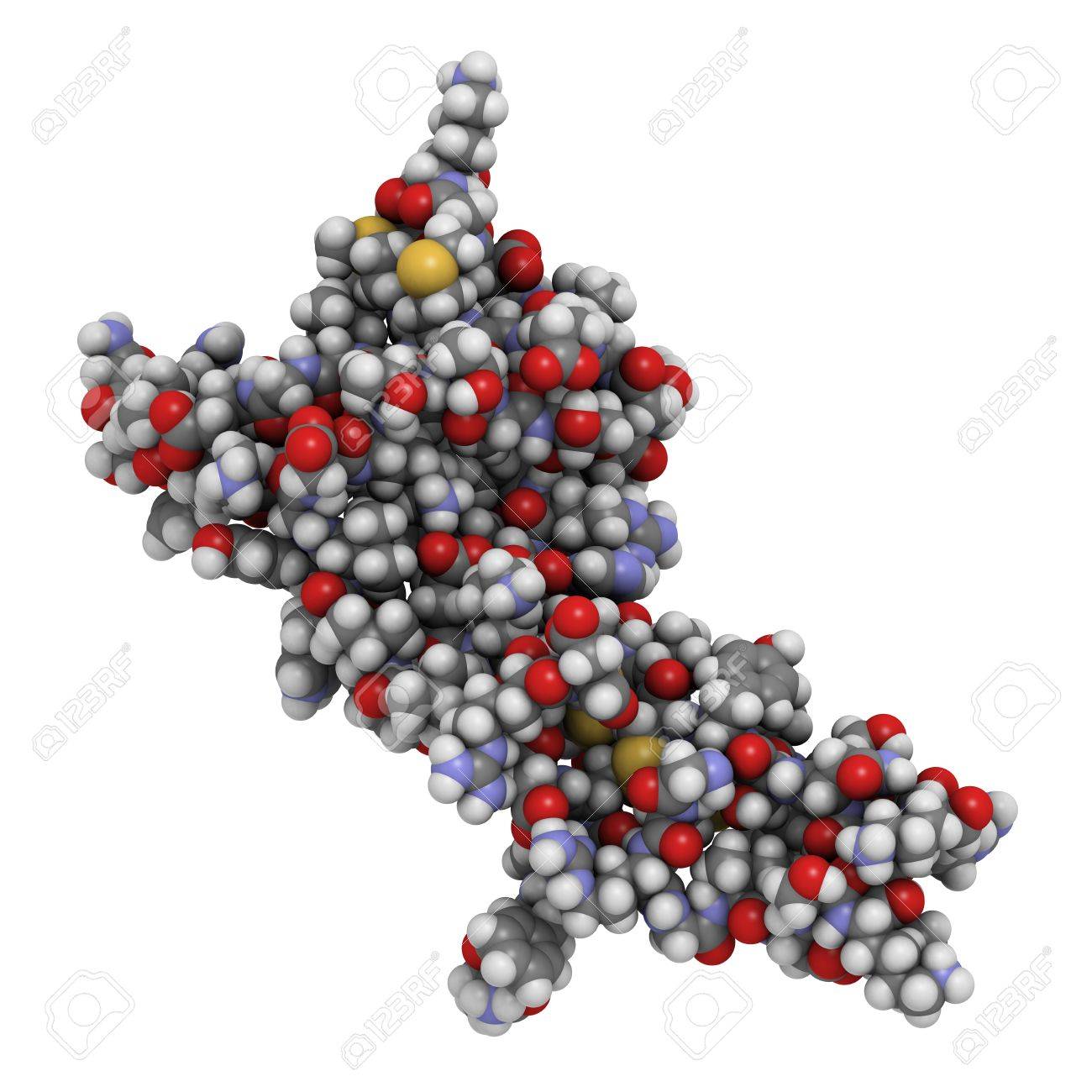 structure of protein molecule An introduction to molecular biology/function and structure of proteins of the protein molecule an_introduction_to_molecular_biology/function_and. structure of protein molecule An introduction to molecular biology/function and structure of proteins of the protein molecule an_introduction_to_molecular_biology/function_and.
