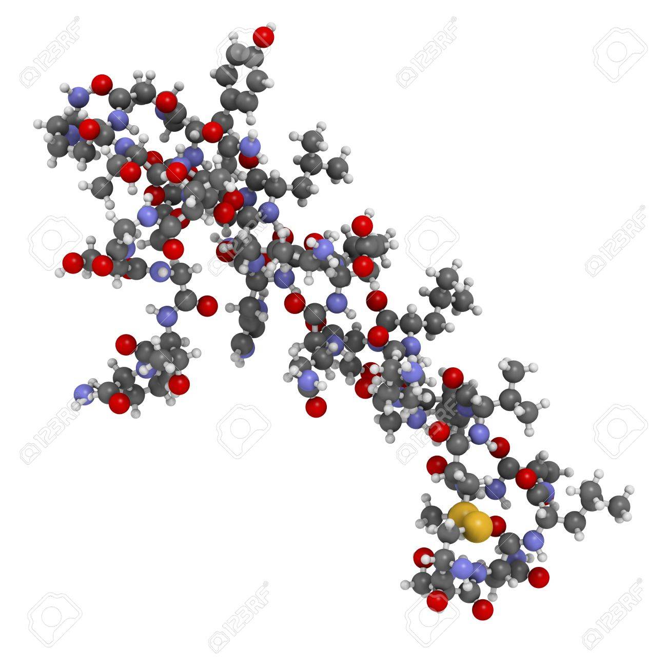 サケのカルシトニン ペプチド ホルモン薬 化学構造 閉経後骨粗鬆症や他の病気の治療に用いられます 原子は従来色の球体として表されます 水素 白 炭素 灰色 酸素 赤 窒素 ブルー の写真素材 画像素材 Image